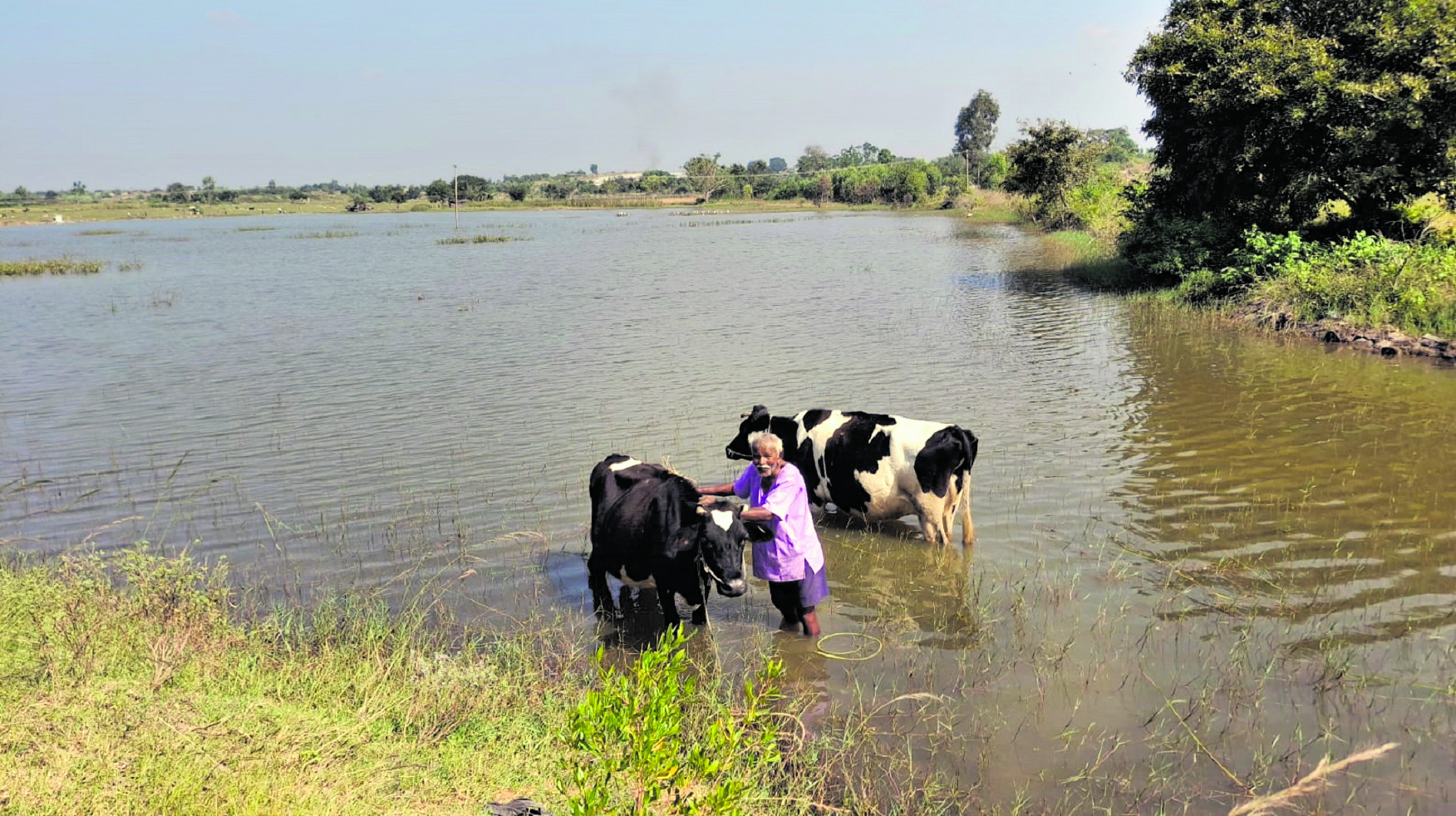 ಪಿಚ್ಚಗುಂಟ್ಲಹಳ್ಳಿ ಹೊಸಕೆರೆಯ ನೋಟ