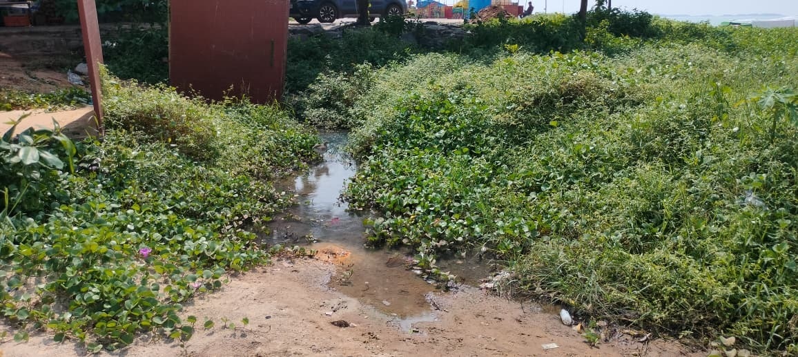 ಕೊಳಚೆ ನೀರು ಸಂಗ್ರಹಗೊಂಡಿರುವುದು