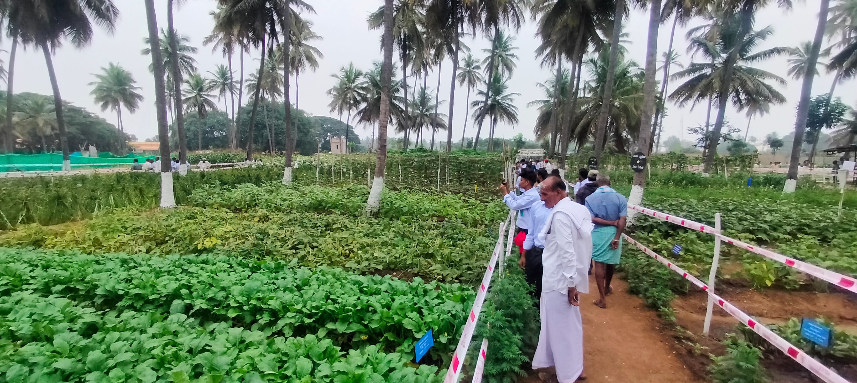 ಬೆಳೆಗಳನ್ನು ವೀಕ್ಷಣೆ ಮಾಡುತ್ತಿರುವ ರೈತರು