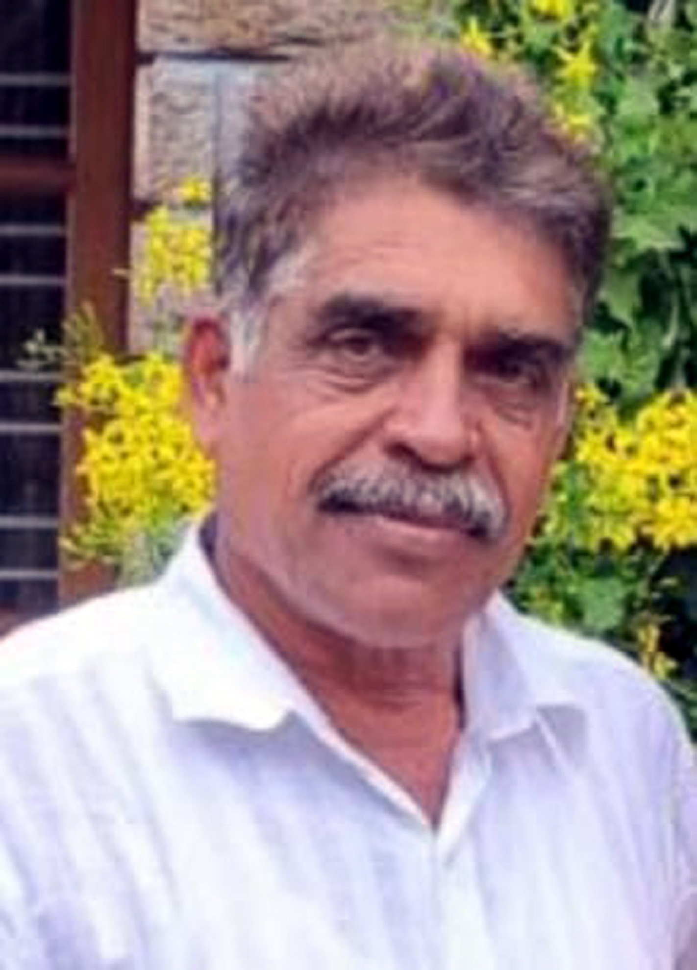 ಡಿಸಿಲ್ವ