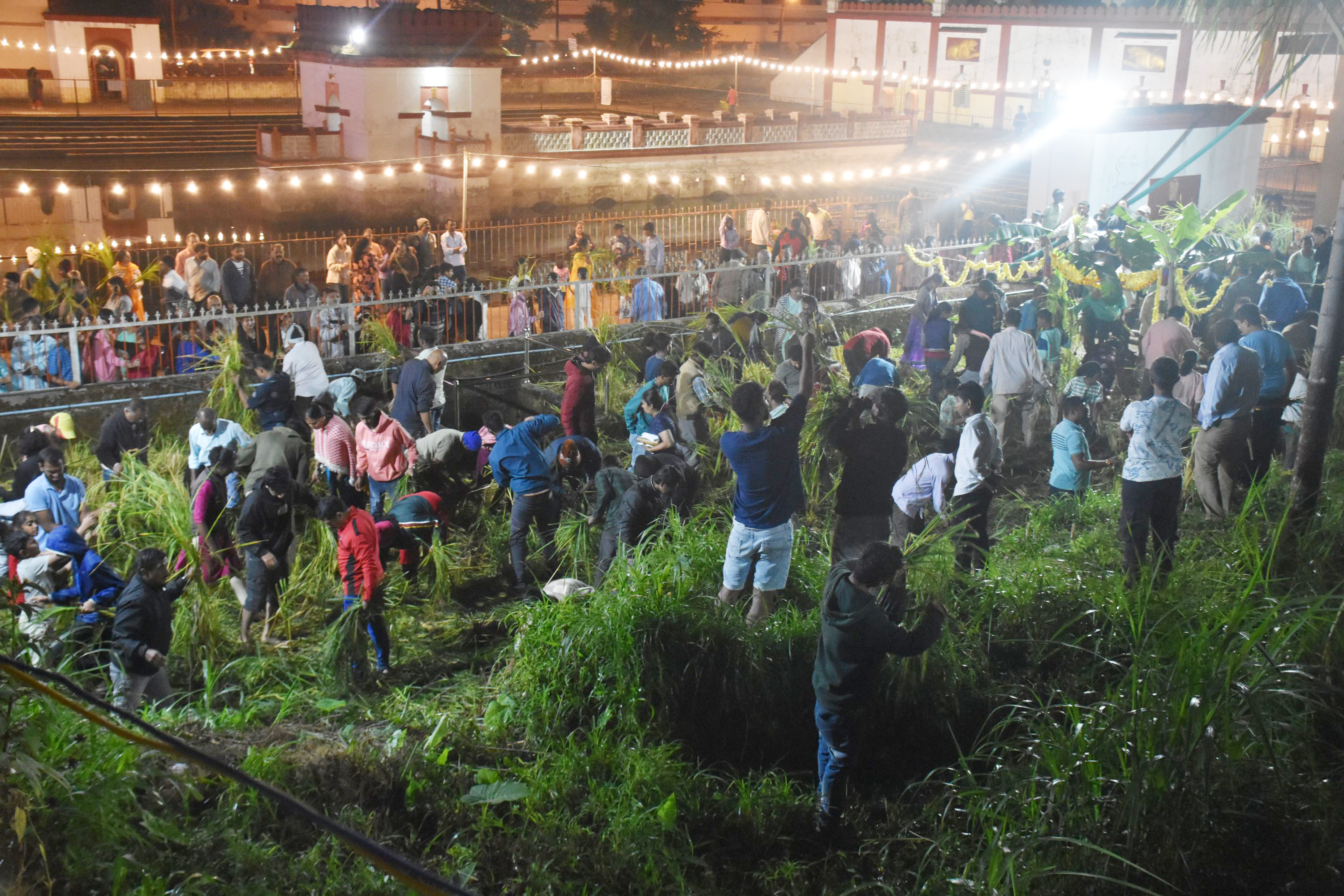 ಮಡಿಕೇರಿಯ ಓಂಕಾರೇಶ್ವರ ದೇಗುಲದ ಆವರಣದಲ್ಲಿ ‘ಪುತ್ತರಿ’ (ಹುತ್ತರಿ) ಹಬ್ಬದ ಪ್ರಯುಕ್ತ ಶನಿವಾರ ರಾತ್ರಿ ಭಕ್ತರು ಸಾಮೂಹಿಕವಾಗಿ ಭತ್ತದ ಕದಿರು (ತೆನೆ) ತೆಗೆದರು ಪ್ರಜಾವಾಣಿ ಚಿತ್ರ: ರಂಗಸ್ವಾಮಿ  ಸಂಗ್ರಹ ಚಿತ್ರ