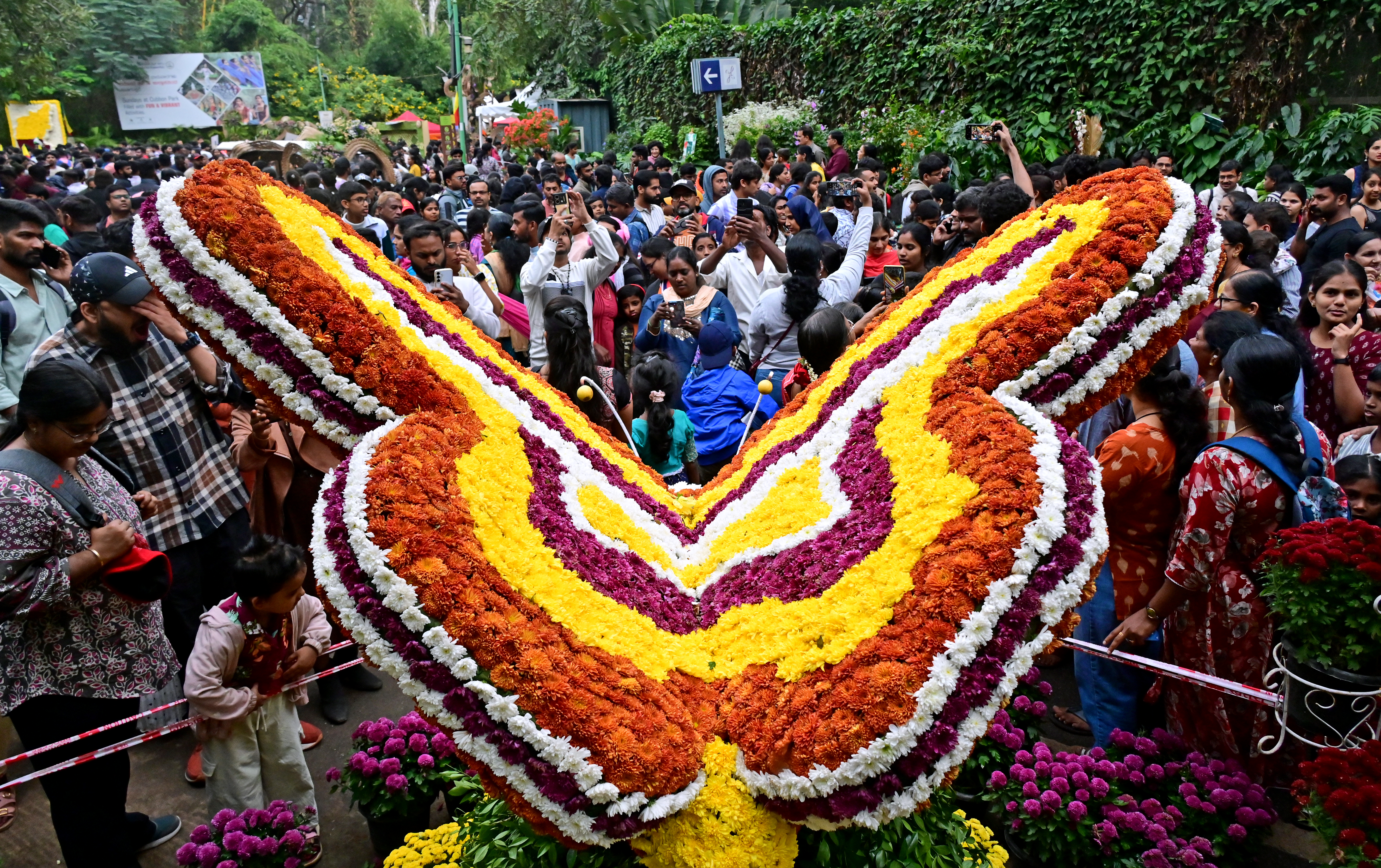 ಹೂವಿನಲ್ಲಿ ಅರಳಿದ ಚಿಟ್ಟೆಯನ್ನು ಜನರು ಕುತೂಹಲದಿಂದ ವೀಕ್ಷಿಸಿದರು 