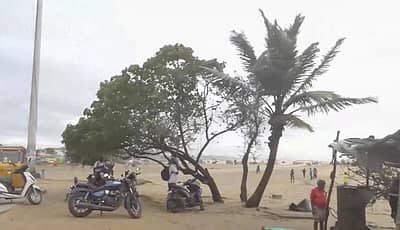 ತೀವ್ರವಾಗಿ ಬೀಸುತ್ತಿರುವ ಗಾಳಿ