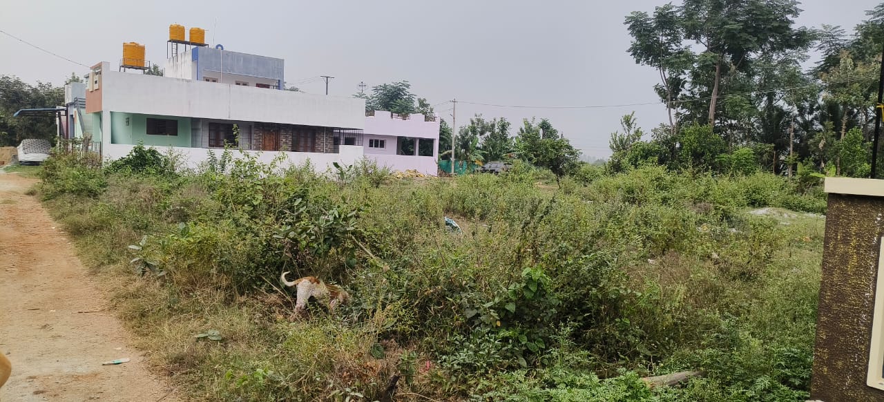 ಕೊಳ್ಳೇಗಾಲ ನಗರದ ಮಹದೇಶ್ವರ ಬಡಾವಣೆಯ ಖಾಲಿ ನಿವೇಶನಗಳು