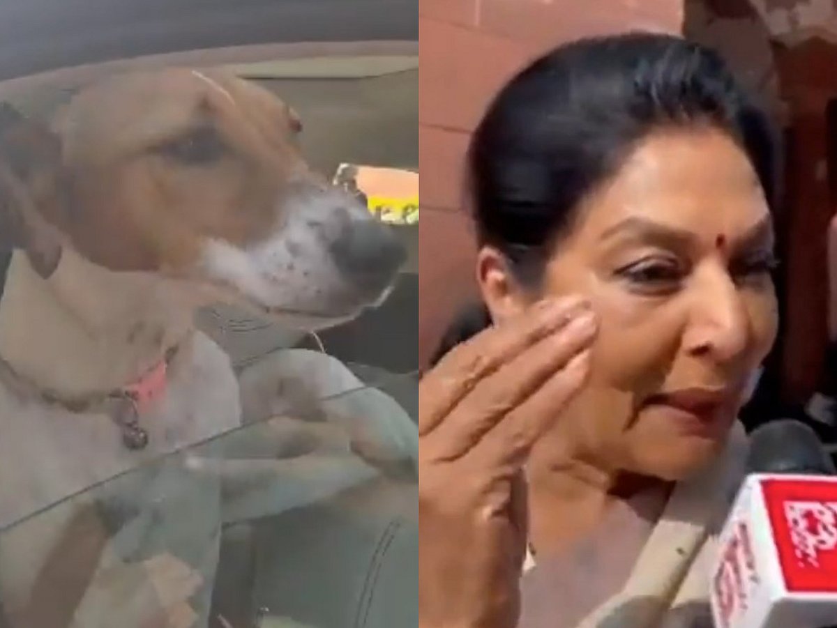 ಕಚ್ಚುವವರು ಸಂಸತ್ತಿನಲ್ಲೇ ಇದ್ದಾರೆ: ನಾಯಿ ತೆಗೆದುಕೊಂಡು ಹೋದ ರೇಣುಕಾ ತಿರುಗೇಟು