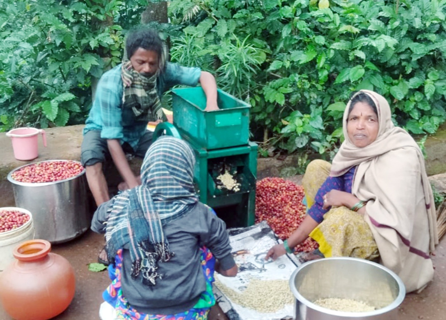 ಯಳಂದೂರು ತಾಲ್ಲೂಕಿನ ಬಿಳಿಗಿರಿ ಬೆಟ್ಟದಲ್ಲಿ ಸೋಮವಾರ ಶೀತಗಾಳಿ ನಡುವೆ ಶ್ರಮಿಕರು ಕಾಫಿ ಸಂಸ್ಕರಣೆಯಲ್ಲಿ ತೊಡಗಿರುವುದು