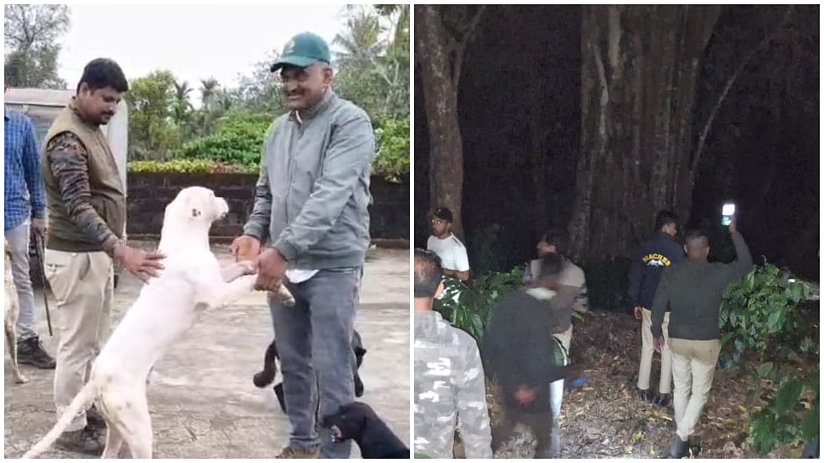 ಕಾಫಿ ತೋಟದಲ್ಲಿ ಕಳೆದು ಹೋಗಿದ್ದ ಮಗು ಪತ್ತೆ ಮಾಡಿದ ಶ್ವಾನ; ಪೊಲೀಸರಿಗೇ ಶಾಕ್!