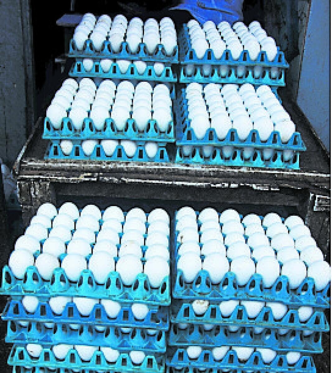 ಹುಬ್ಬಳ್ಳಿ: ಗ್ರಾಹಕರಿಗೆ ‘ಹೊರೆ’ಯಾದ ಮೊಟ್ಟೆ