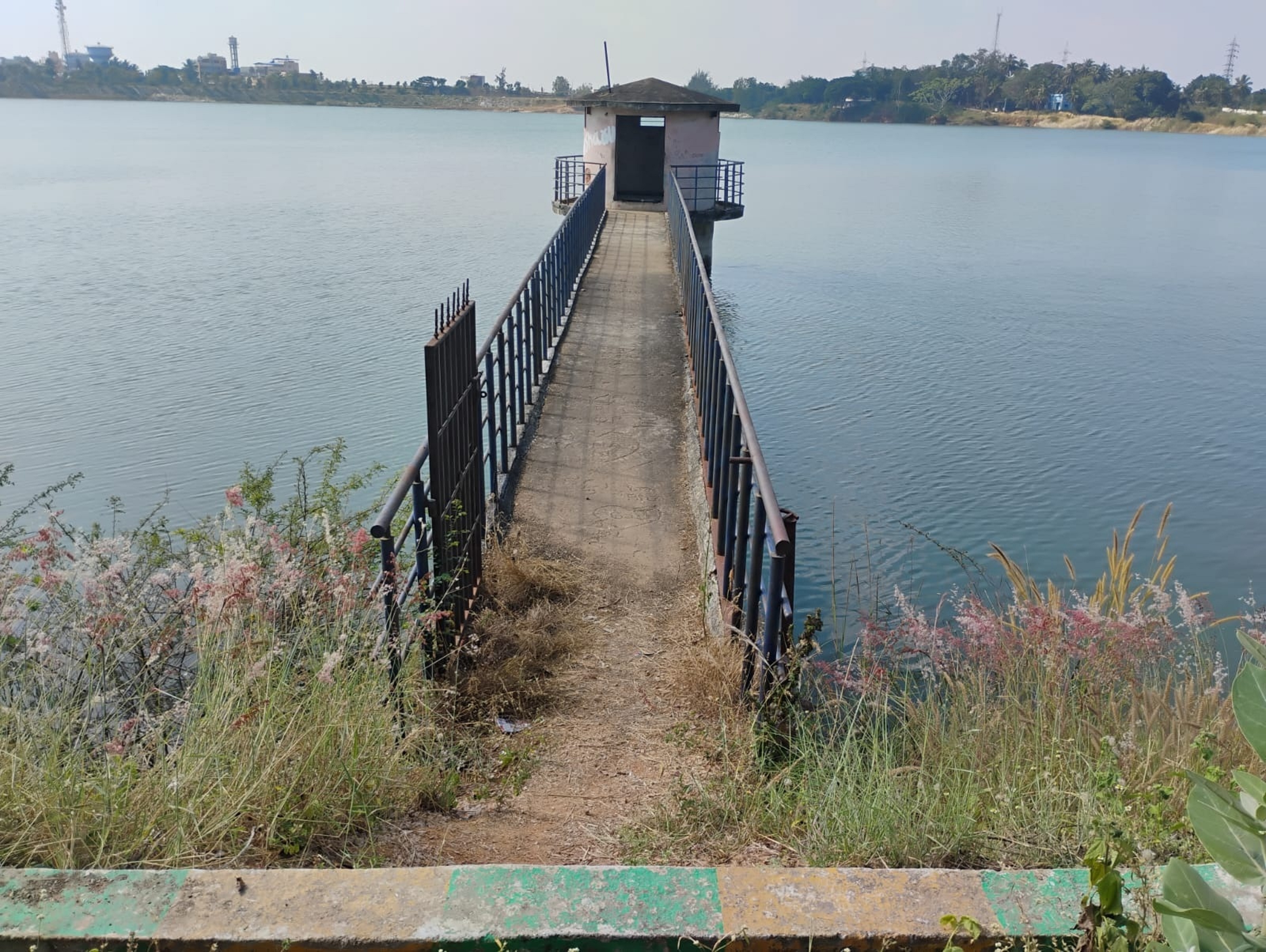 ದಾವಣಗೆರೆಯ ಟಿ.ವಿ.ಸ್ಟೇಷನ್‌ ಕೆರೆಯ ಜಾಕ್‌ವೆಲ್‌ನ ಗೇಟ್‌ ತೆರೆದುಕೊಂಡಿರುವುದು