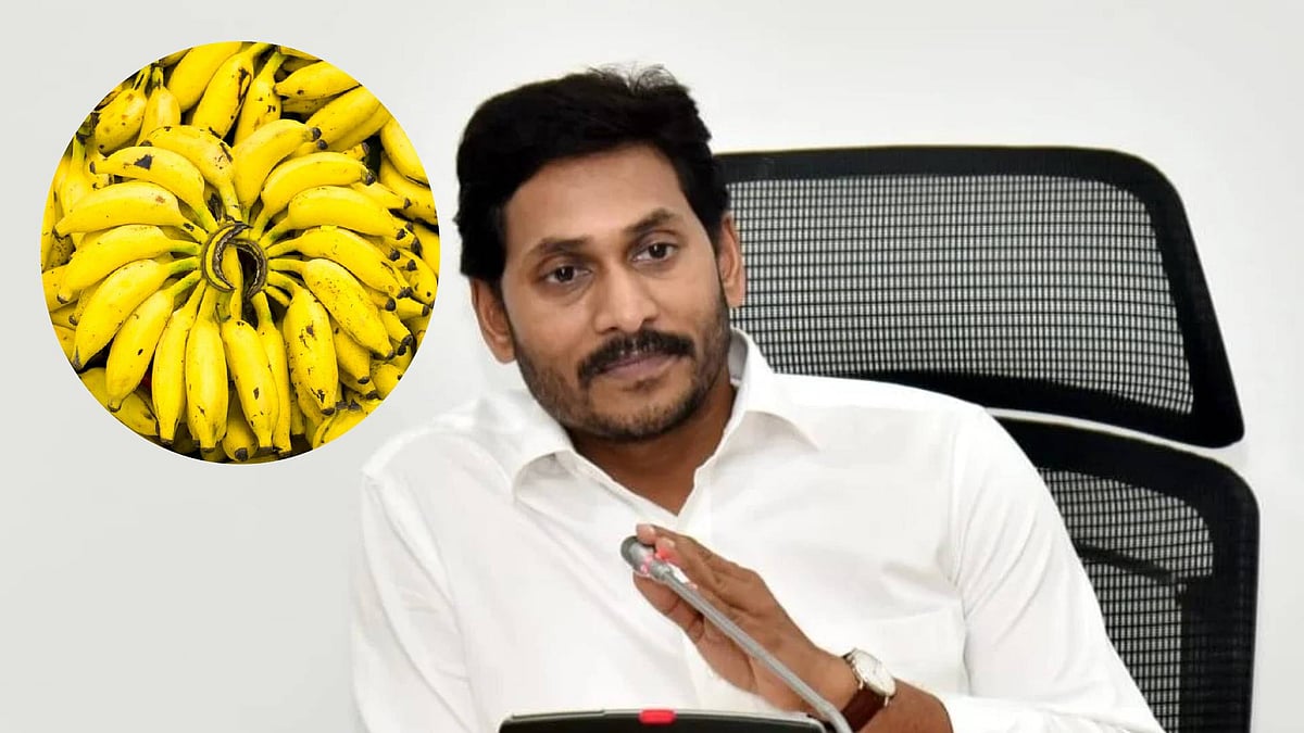 ಆಂಧ್ರಪ್ರದೇಶ | ಕೆ.ಜಿ ಬಾಳೆಹಣ್ಣಿಗೆ ₹50 ಪೈಸೆ: ಸರ್ಕಾರದ ವಿರುದ್ಧ ಜಗನ್‌ ಕಿಡಿ