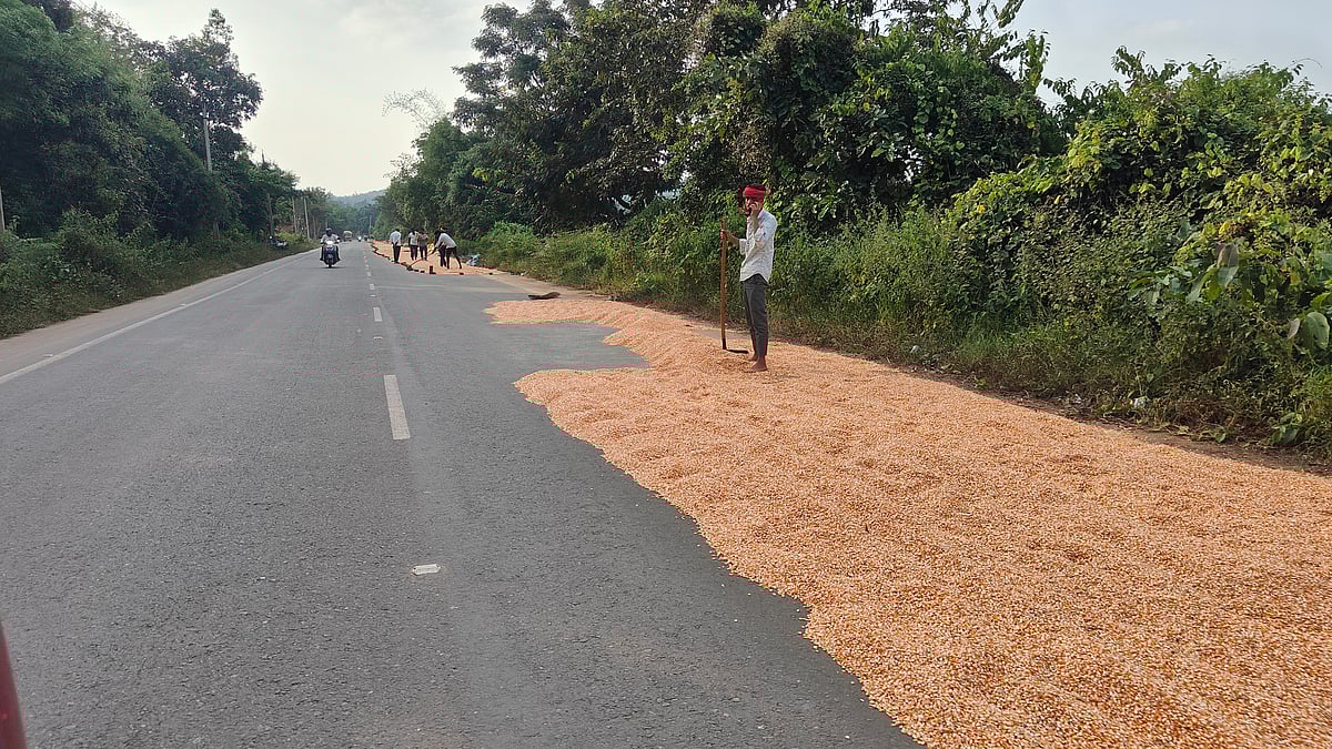 ಮೆಕ್ಕೆಜೋಳ | ರೈತರ ಹೋರಾಟಕ್ಕೆ ಮಣಿದ ಸರ್ಕಾರ: ಕ್ವಿಂಟಲ್‌ಗೆ ₹2,400 ಬೆಲೆ