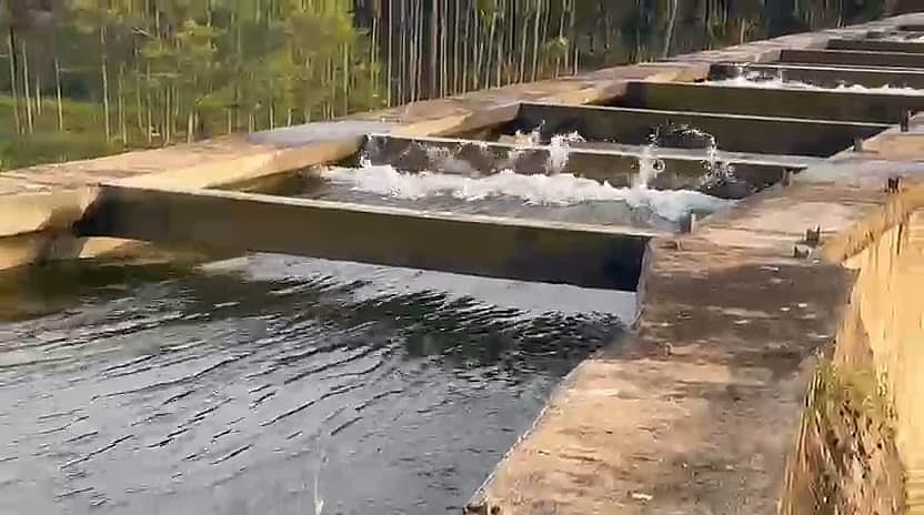 ಸಂತೇಬಾಚಹಳ್ಳಿ: ಹೇಮಾವತಿ ನಾಲೆಯಲ್ಲಿ ನೀರು ಹೆಚ್ಚಳ