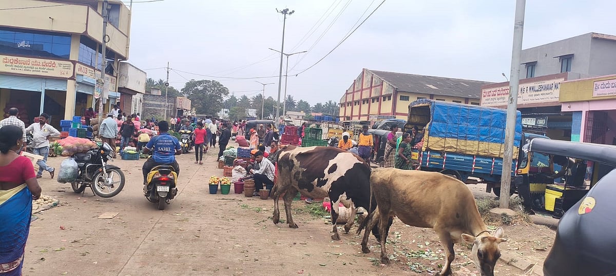 ಧಾರವಾಡ: ದುಃಸ್ಥಿತಿಯಲ್ಲಿ ಎಪಿಎಂಸಿ ಪ್ರಾಂಗಣ