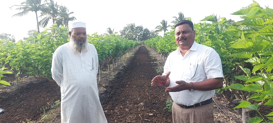 ಬಸವನಬಾಗೇವಾಡಿ: ರೇಷ್ಮೆ ಕೃಷಿಯಲ್ಲಿ ಕನಿಷ್ಠ ಹೂಡಿಕೆ, ಗರಿಷ್ಠ ಲಾಭ