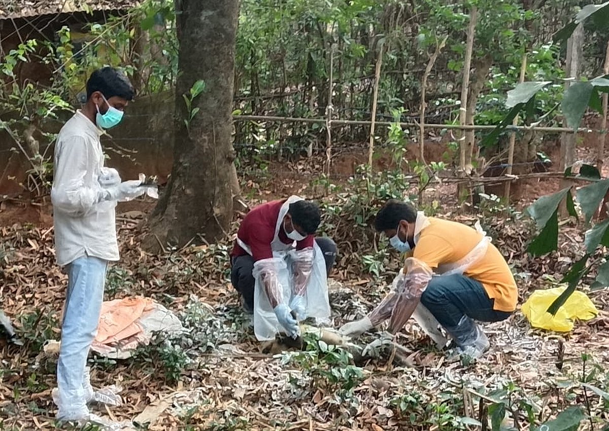 ಮಂಗನ ಕಾಯಿಲೆ: 5 ತಾಲ್ಲೂಕುಗಳಲ್ಲಿ ನಿಗಾ