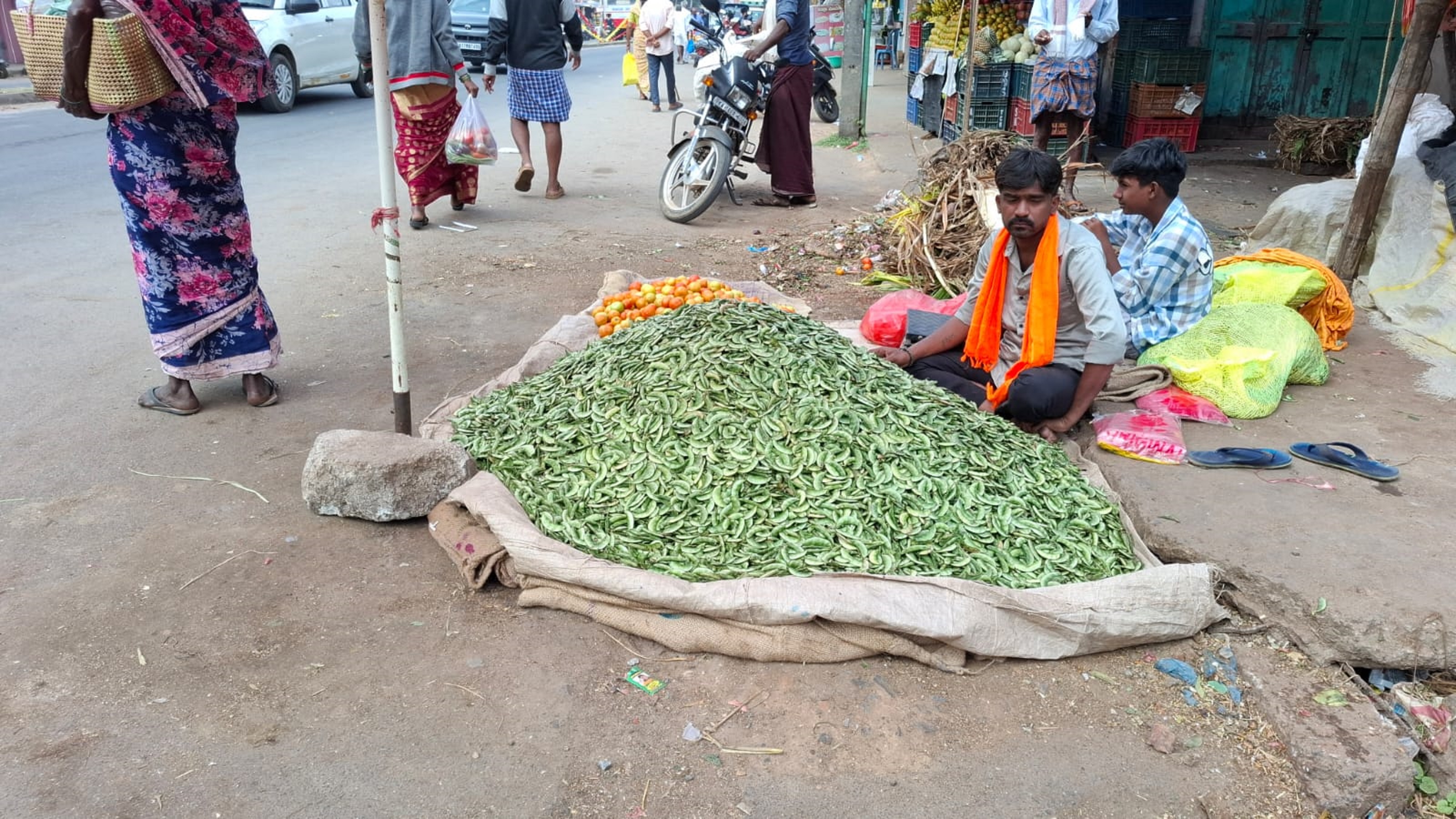 ಹೊಸದುರ್ಗದಲ್ಲಿ ಅವರೆಕಾಯಿ ವ್ಯಾಪಾರದಲ್ಲಿ ತೊಡಗಿರುವ ರೈತ