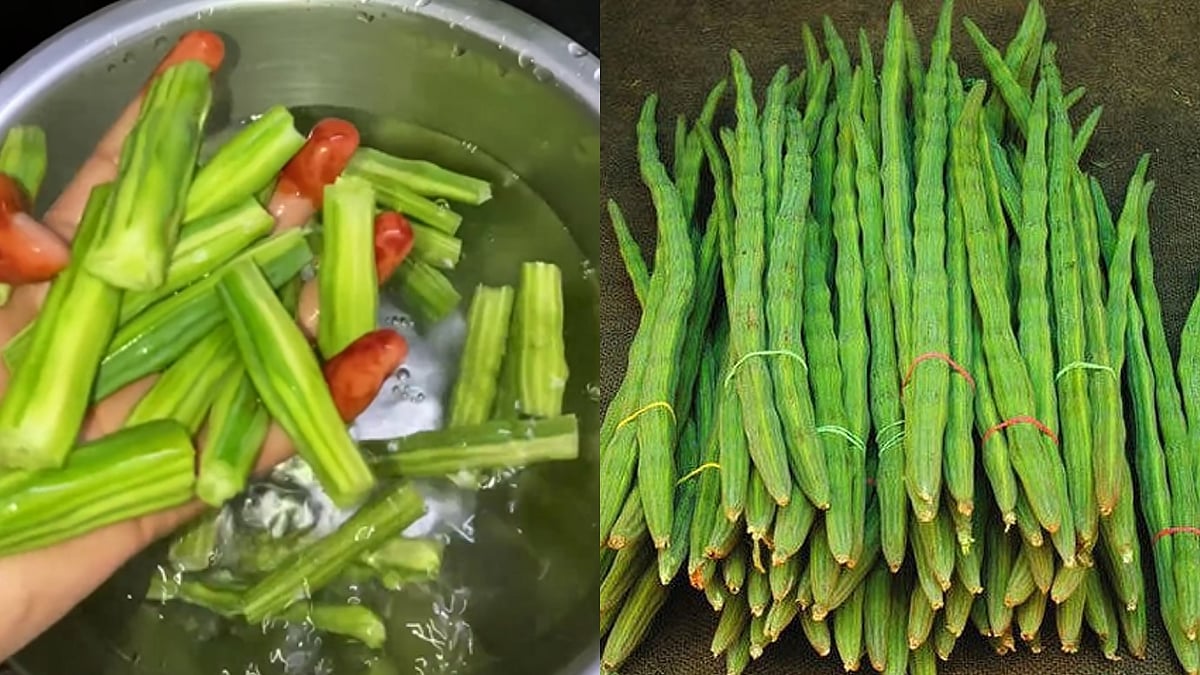 ನುಗ್ಗೆಕಾಯಿ ಸಾಂಬರ್‌ ಮಾತ್ರವಲ್ಲ, ಉಪ್ಪಿನಕಾಯಿ ಕೂಡ ಮಾಡಬಹುದು! ಇಲ್ಲಿದೆ ರೆಸಿಪಿ