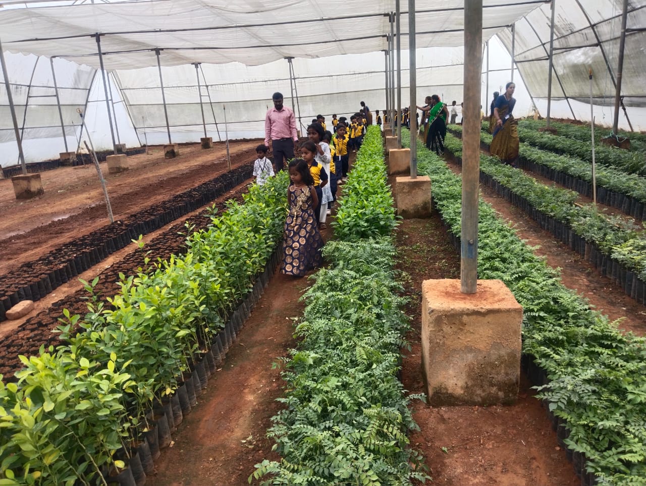 ಪಾಲಿ ಹೌಸ್‌ನಲ್ಲಿ ಬೆಳೆದಿರುವ ಸಸ್ಯಗಳನ್ನು ಮಕ್ಕಳು ವೀಕ್ಷಿಸಿದರು