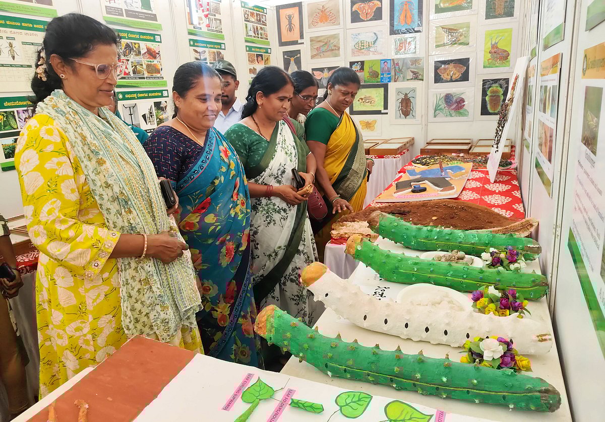 ಮೇಳೈಸಿದ ಕೀಟ ಪ್ರಪಂಚದ ವಿಸ್ಮಯ 