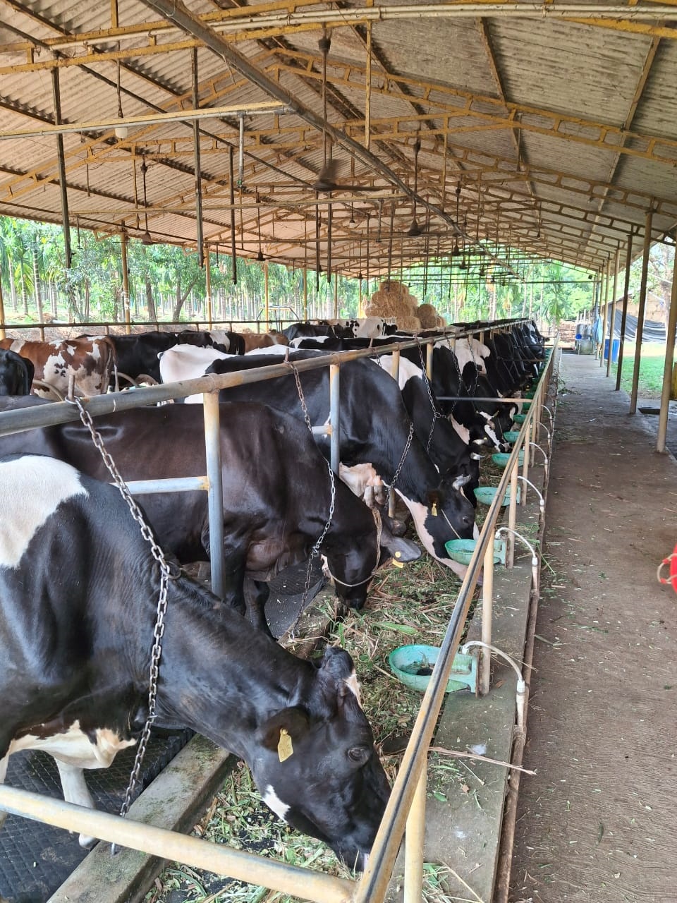 ಉಡುಪಿಯ ಮುನಿಯಾಳದ ರೈತರೊಬ್ಬರ ಹಟ್ಟಿ 