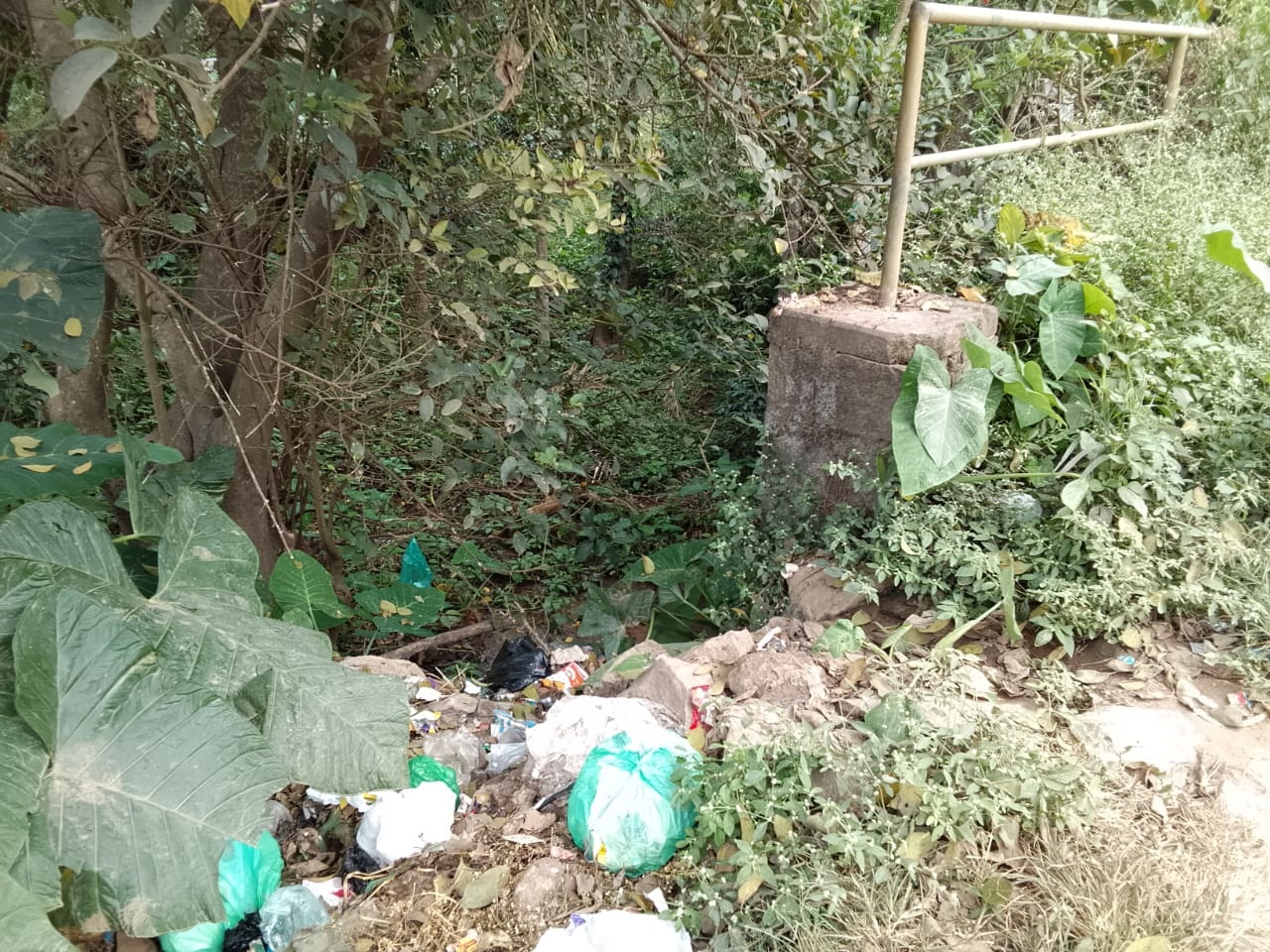 ಮೂಡಿಗೆರೆ ಸಂತೆ ಮೈದಾನದ ಬಳಿ ಇರುವ ಭದ್ರಾ ನದಿಯ ಉಪನದಿ ಹುಲುಗಿ ಹಳ್ಳದ ಬಳಿ ತ್ಯಾಜ್ಯ