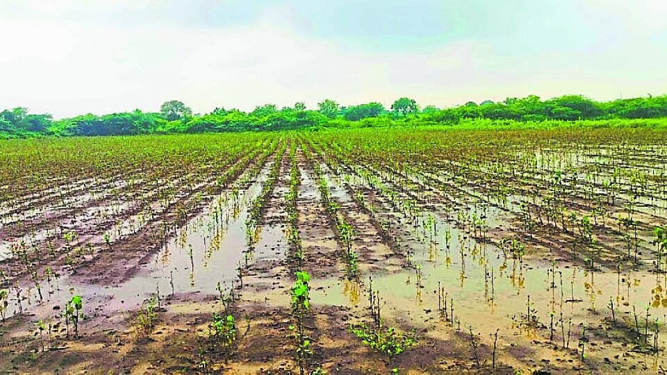 ಬೆಳೆಹಾನಿ: ರೈತರಿಗೆ ತಲುಪದ ಪೂರ್ಣ ಪರಿಹಾರ