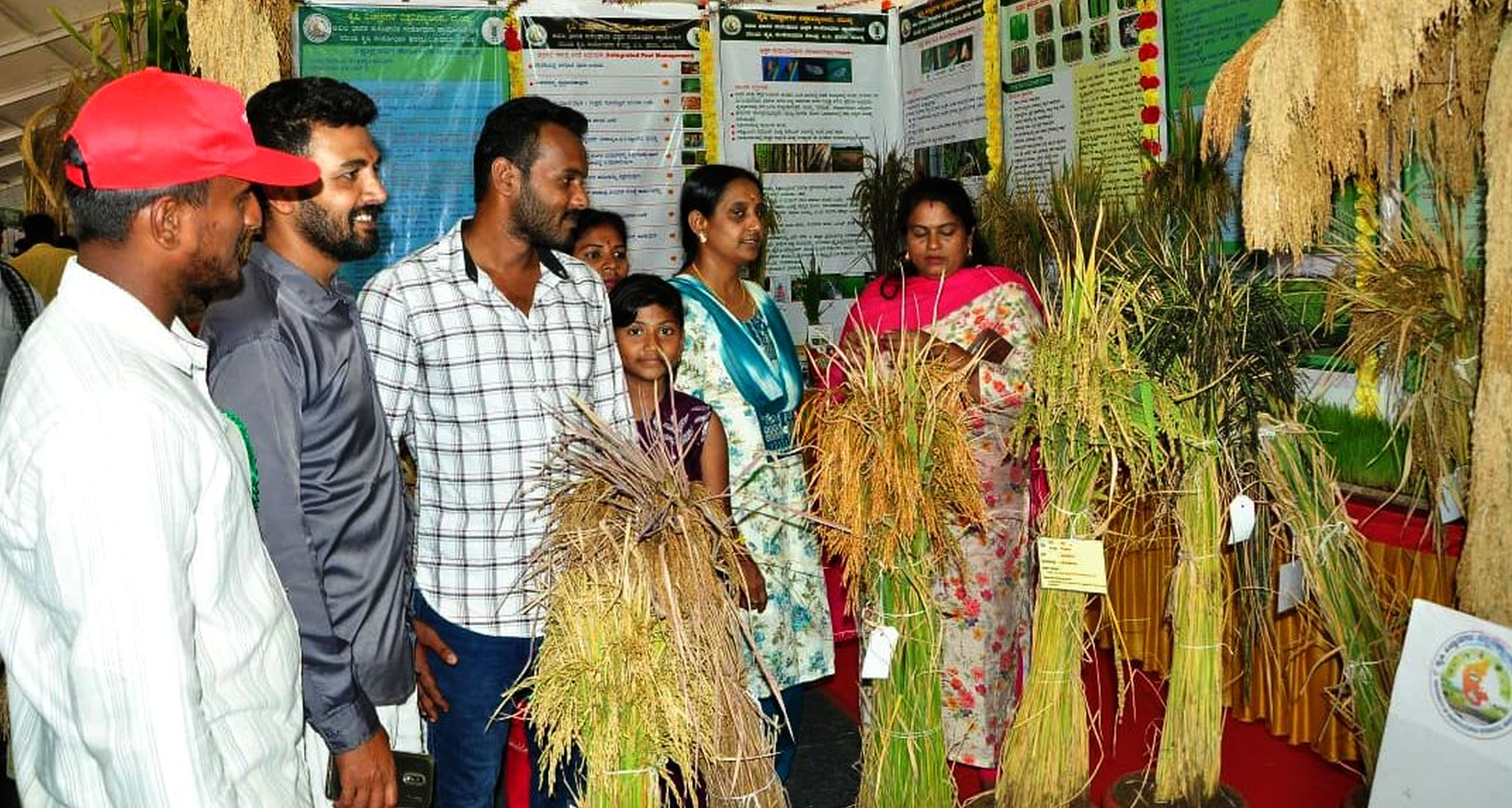 ಕೃಷಿಮೇಳದಲ್ಲಿ ಭತ್ತದ ತಳಿಗಳನ್ನು ವೀಕ್ಷಿಸಿದ ಜನ