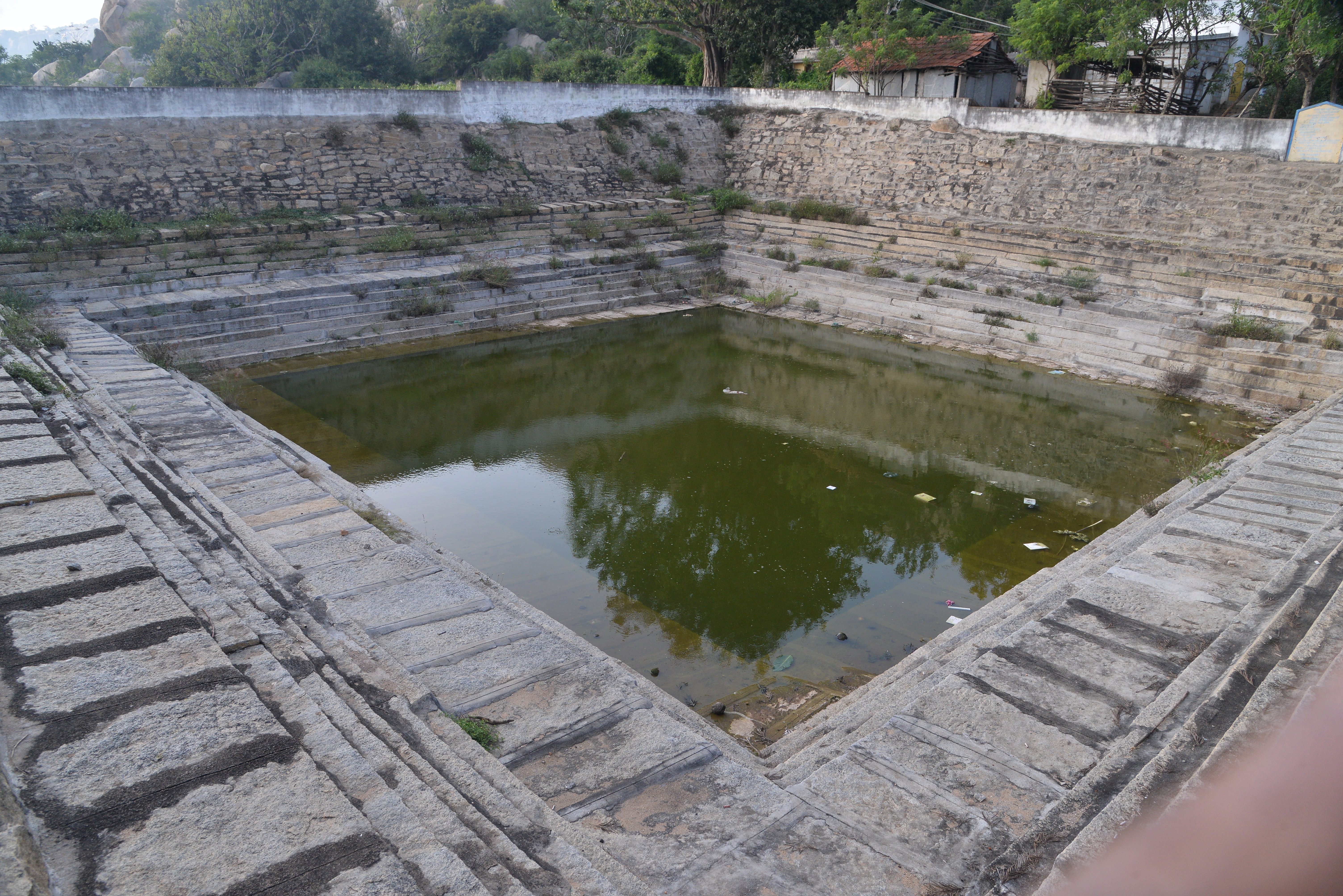 ತೇರಹಳ್ಳಿ ಗ್ರಾಮದಲ್ಲಿರುವ ಕಲ್ಯಾಣಿ