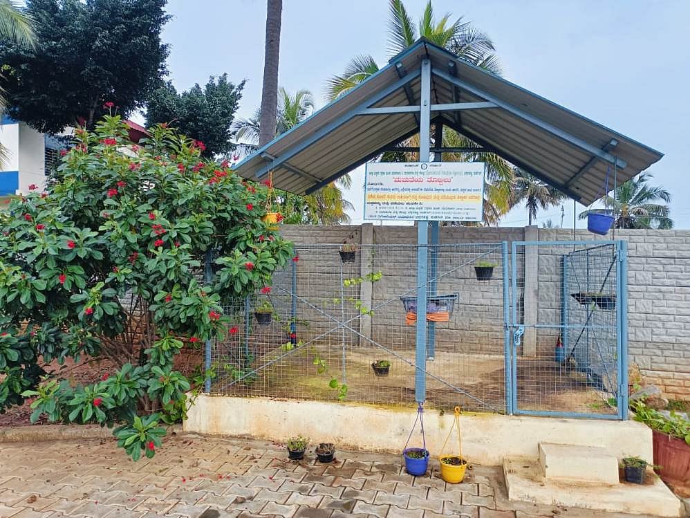 ಕುಣಿಗಲ್ | ದಾಖಲೆ ಬರೆದ ‘ದಯಾಕಿರಣ’