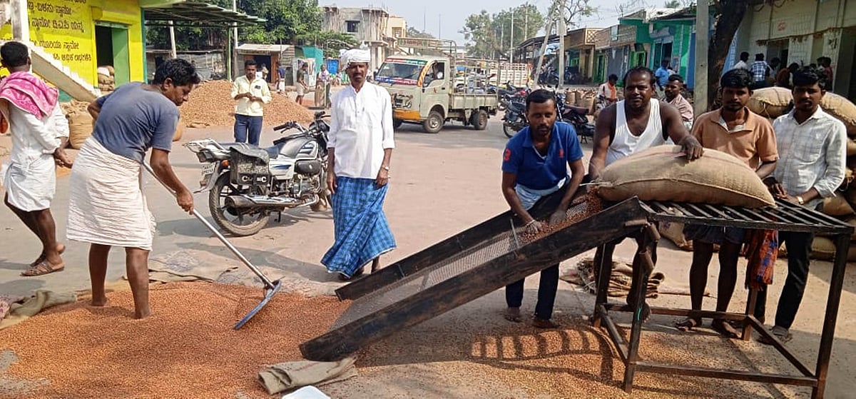 ಕುಷ್ಟಗಿ: ತೊಗರಿಗೆ ಬೇಕಿದೆ 'ಬೆಂಬಲ ಬೆಲೆ ಭಾಗ್ಯ'