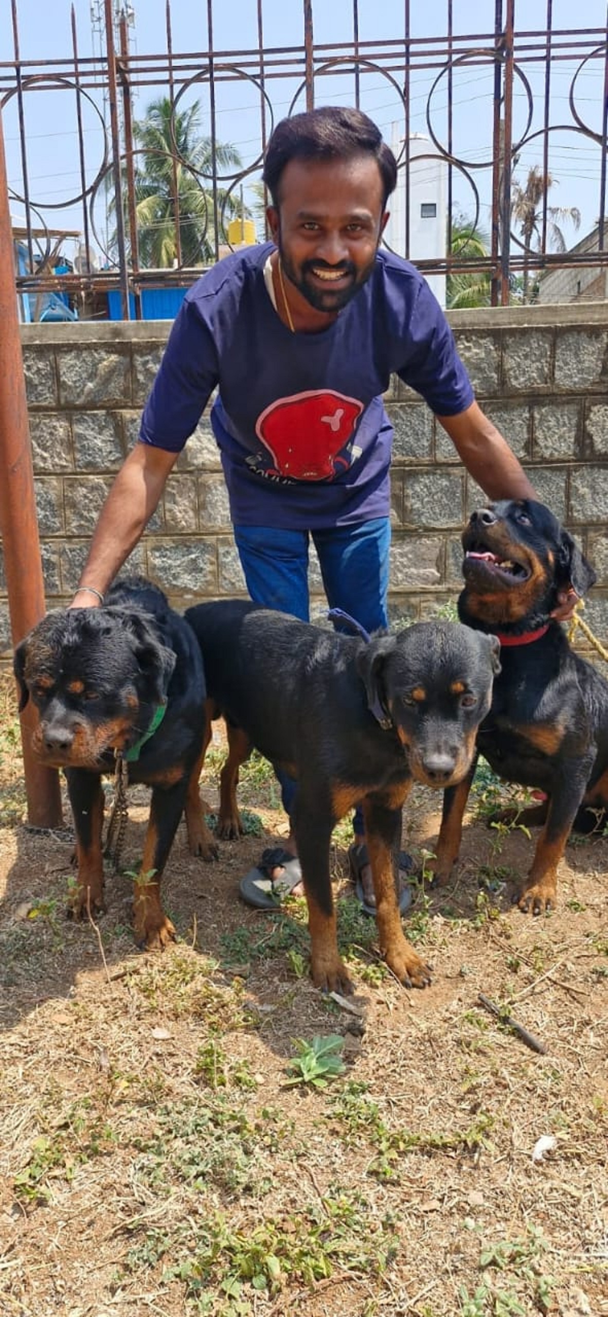 ರಾಟ್‌ವೈಲರ್‌ ತಳಿಯ ನಾಯಿಗಳೊಂದಿಗೆ ಶೈಲೇಶಕುಮಾರ್ ಪಿ.