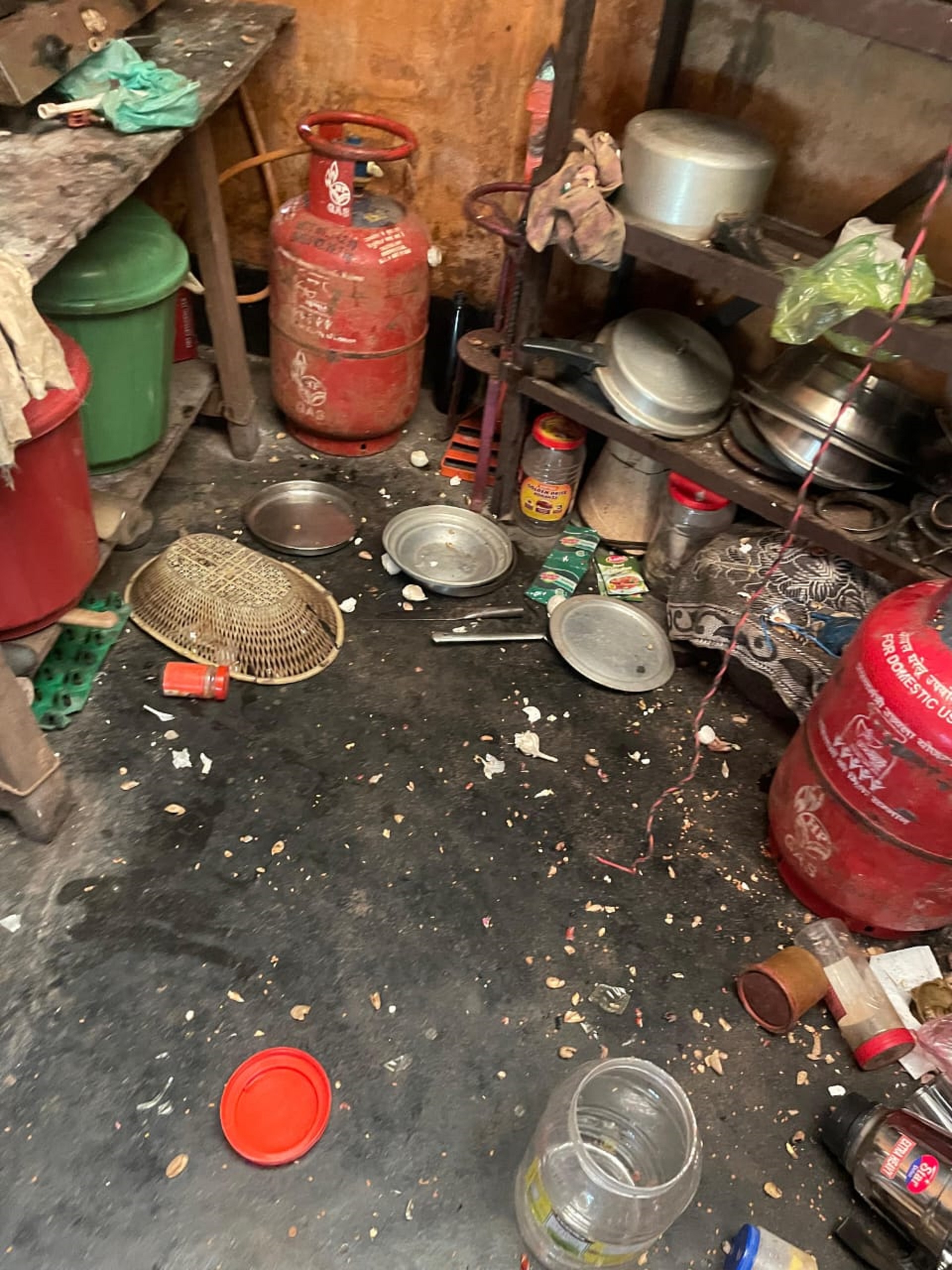 ಕೊಯನಾಡಿನ ಕೊಯನಾಡಿ ಶಾಲಿನಿ ಉಮೇಶ್ ಎಂಬುವವರ ಮನೆಗೆ ಈಚೆಗೆ ನುಗ್ಗಿದ ಮಂಗಗಳು ಮನೆಯ ಪರಿಕರಗಳನ್ನು ಚಿಲ್ಲಾಪಿಲ್ಲಿ ಮಾಡಿದ್ದವು