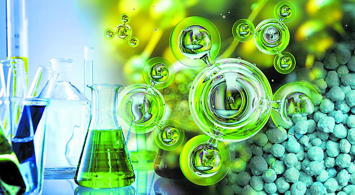 ವಿಶ್ಲೇಷಣೆ | ಅಮೋನಿಯ ‘ಹಸಿರು’ ನಾಯಕ?