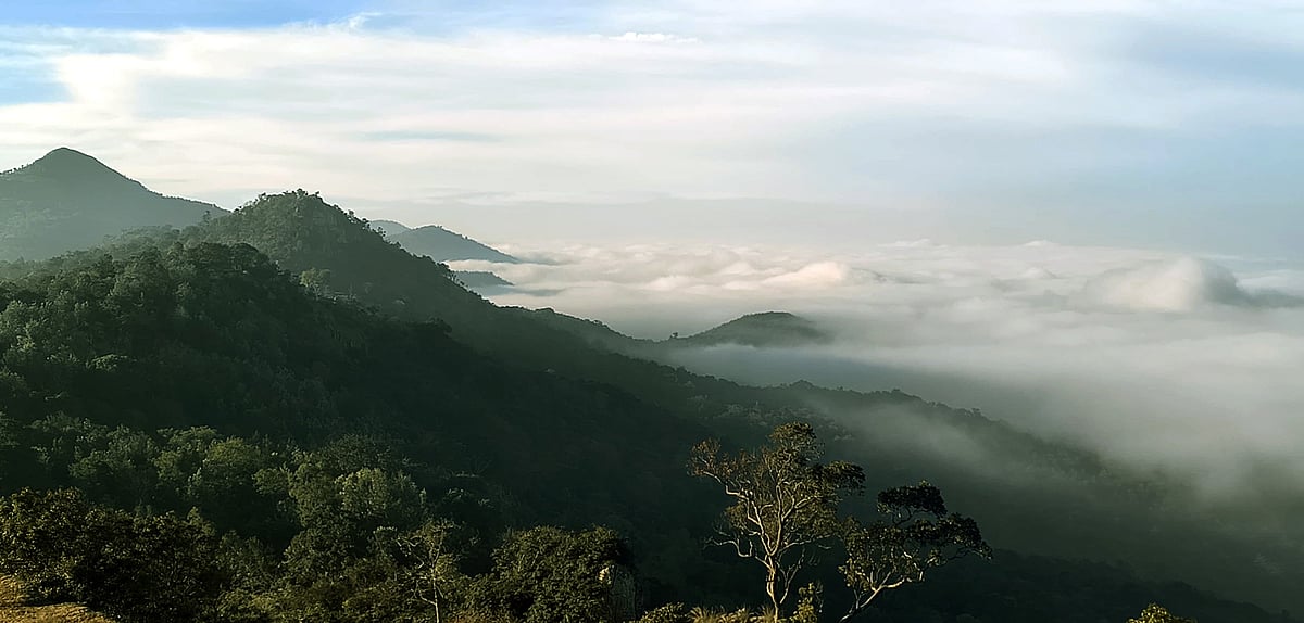 ಚಾಮರಾಜನಗರ | ಬಿಳಿಗಿರಿ ಕಾನನದಲ್ಲಿ ‘ಹಿಮಾಲಯ ದರ್ಶನ’