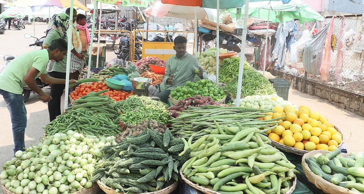 ರಾಯಚೂರು: ಪ್ರತಿ ಕೆಜಿ ನುಗ್ಗೆಕಾಯಿ ₹ 400, ಬೆಳ್ಳುಳ್ಳಿ ₹120, ಹಿರೇಕಾಯಿ ₹ 60