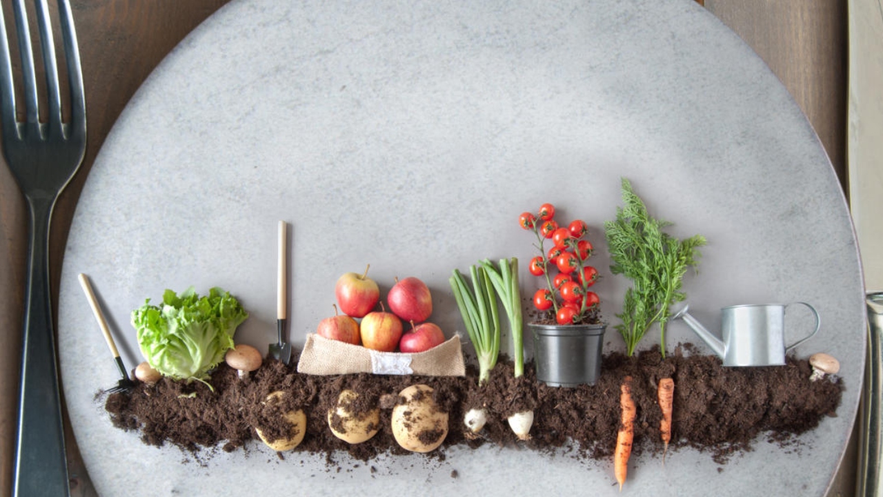 <div class="paragraphs"><p>ಗೆಟ್ಟಿ ಚಿತ್ರ</p></div>