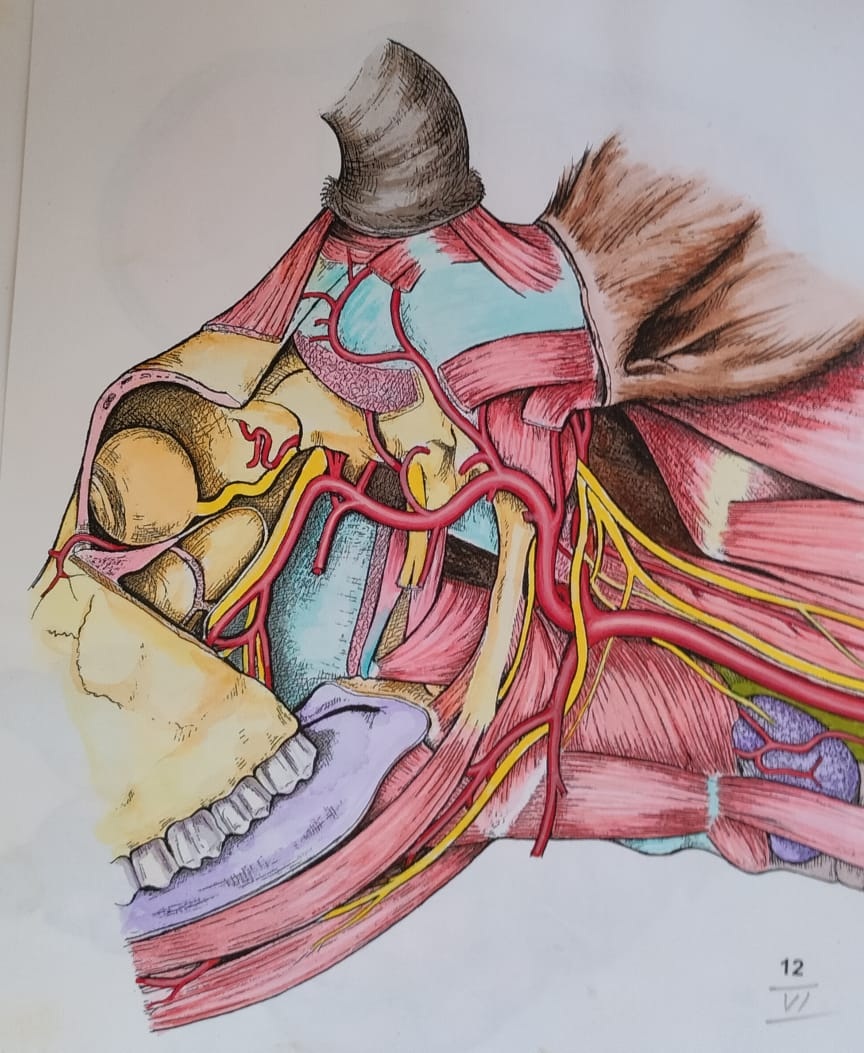 ಪಿ.ಎನ್. ಆಚಾರ್ಯ ಅವರು ಬಿಡಿಸಿರುವ ಚಿತ್ರ