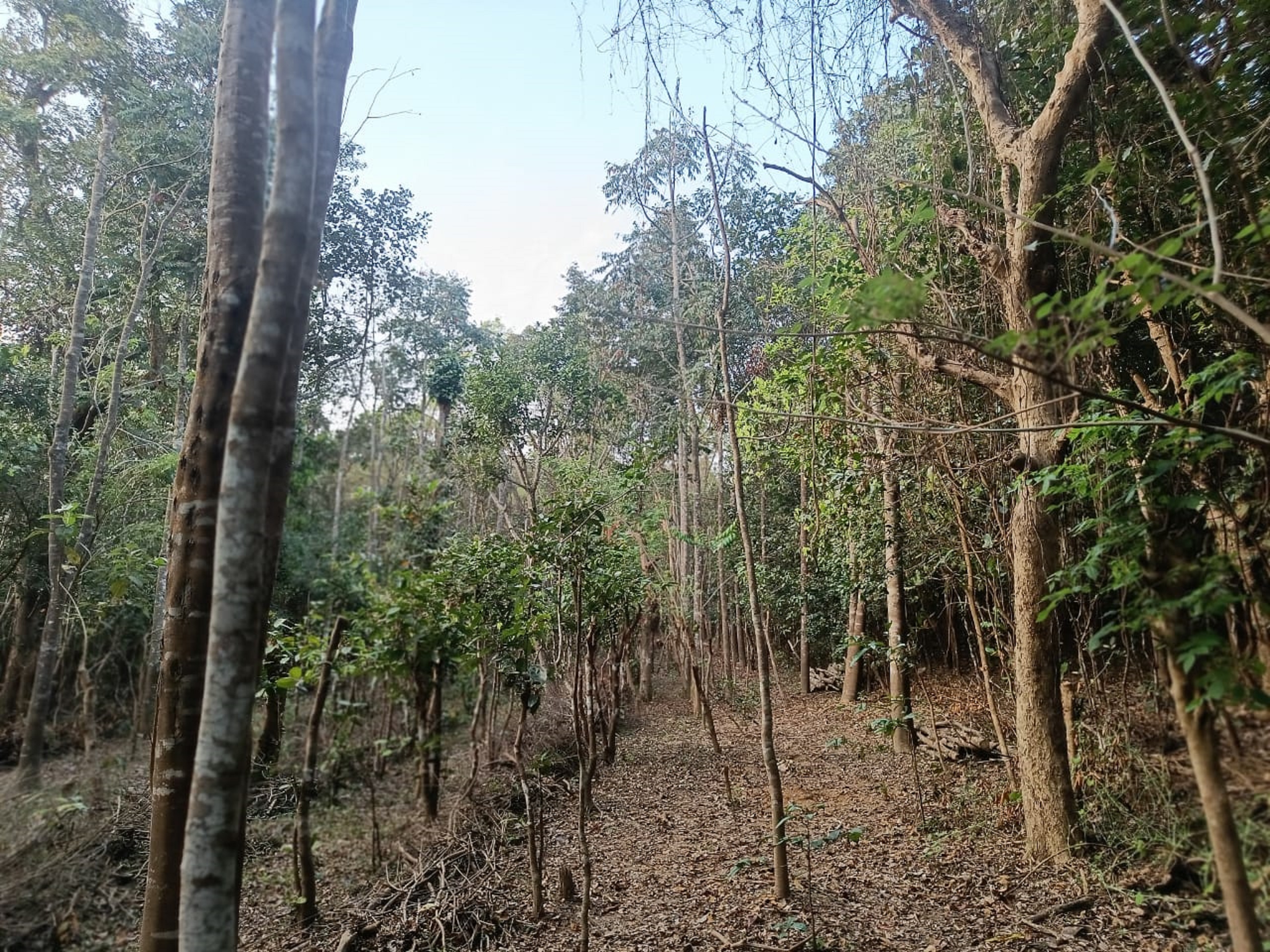 ವೈವಿಧ್ಯಮಯ ಸಸ್ಯ ಸಂಪತ್ತುಗಳ ಆಗರದ ಕೃಷಿಭೂಮಿ