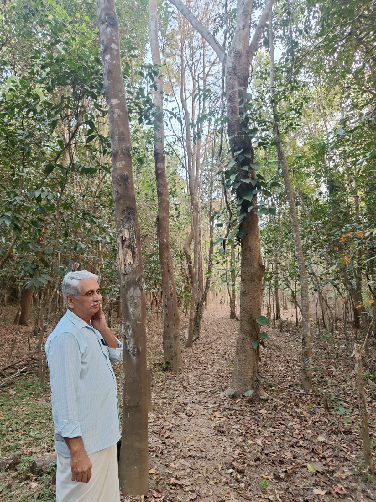 ಬಾನೆತ್ತರಕ್ಕೆ ಬೆಳೆದ ಮರಗಳಿರುವ ಪ್ರಕಾಶ್ ರಾವ್ ಅವರ ತೋಟ