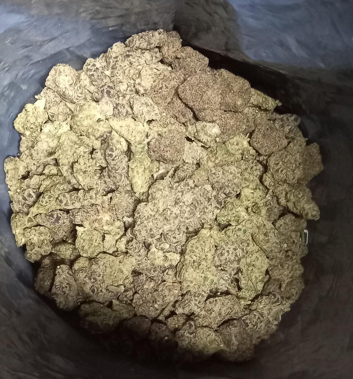 ಬಳ್ಳಾರಿ: ರೈಲಿನಲ್ಲಿ 8.4 ಕೆ.ಜಿ ಗಾಂಜಾ ಪತ್ತೆ