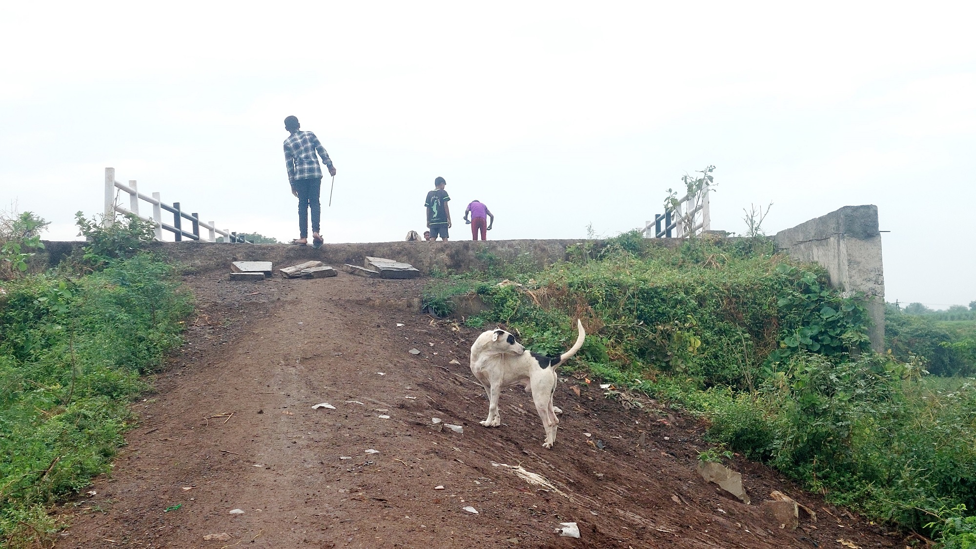 ಚಿಂಚೋಳಿ ಪಟ್ಟಣದಲ್ಲಿ ಮುಲ್ಲಾಮಾರಿ ನದಿಗೆ ಅಡ್ಡಲಾಗಿ ಸುಲೇಪೇಟ ಹಳೆದಾರಿಗೆ ನಿರ್ಮಿಸಿದ ಸೇತುವೆ ಕೂಡು ರಸ್ತೆ ಬಾಕಿ ಇರುವುದು