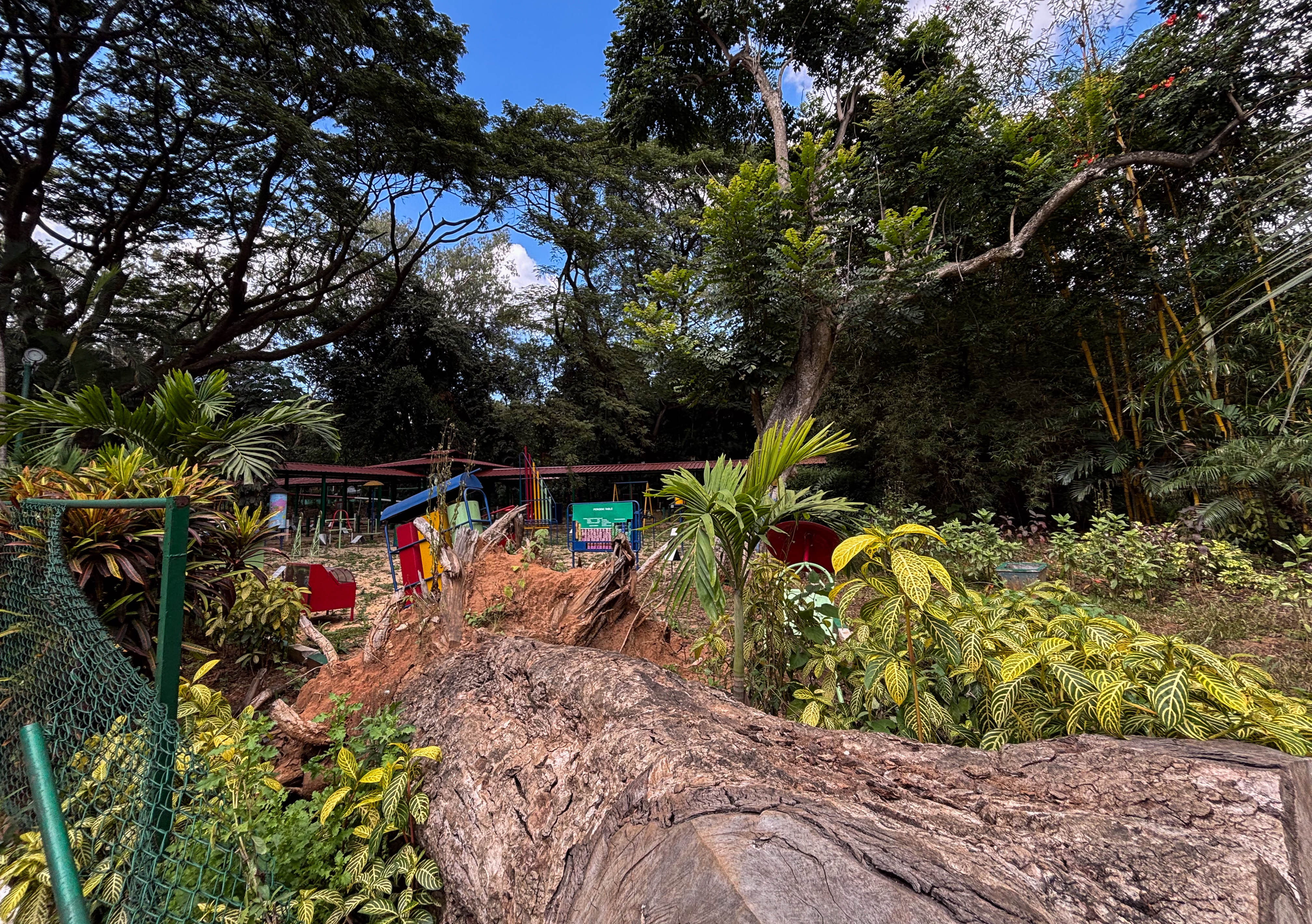 ಬೃಹತ್‌ ಮರವೊಂದು ವಿಜ್ಞಾನ ಉದ್ಯಾನದಲ್ಲಿ ಬಿದ್ದ ಕಾರಣ ಆಟಿಕೆಗಳಿಗೆ ಹಾನಿಯಾಗಿದೆ 