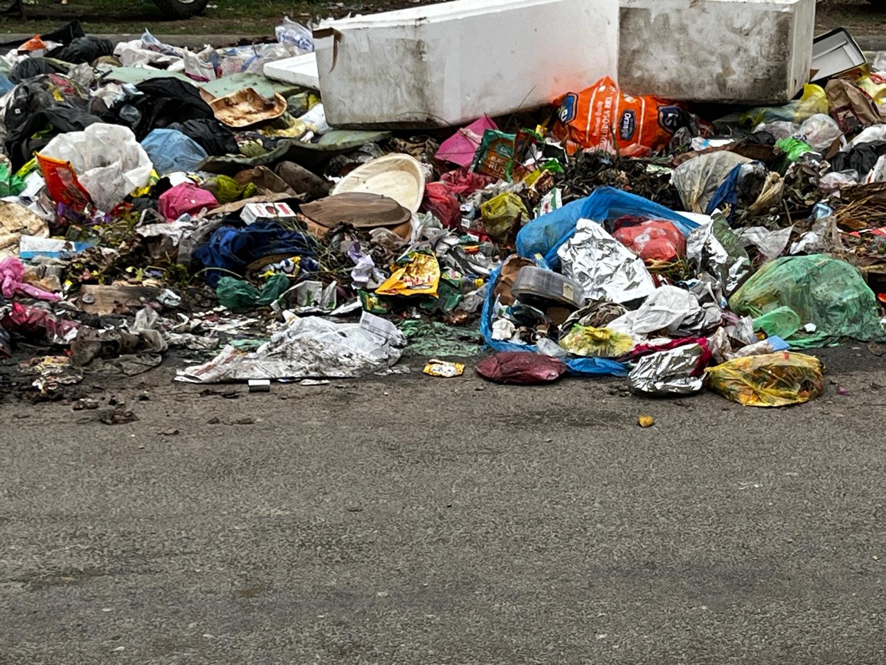 ರಸ್ತೆ ಪಕ್ಕದಲ್ಲಿನ ಕಸದ ರಾಶಿ