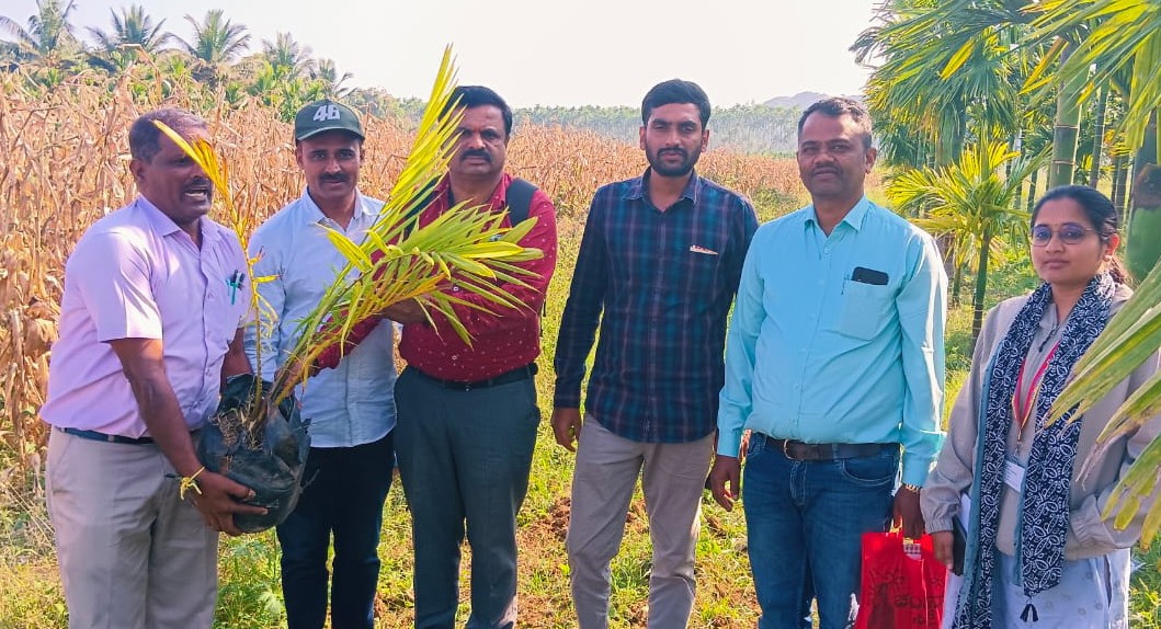 ಹಳೇಬೀಡು ಸಮೀಪದ ರಾಜನಶಿರಿಯೂರು ಗ್ರಾಮದ ಪುಟ್ಟಮಲ್ಲೇಗೌಡರ ಜಮೀನಿನಲ್ಲಿ ಬುಧವಾರ ನಡೆದ ತಾಳೆ ಬೆಳೆ ಯೋಜನೆ ಅಡಿಯಲ್ಲಿ ರೈತರಿಗೆ ಅರಿವು ಕಾರ್ಯಕ್ರಮದಲ್ಲಿ ರೈತರಿಗೆ ತಾಳೆ ಗಿಡ ವಿತರಿಸಲಾಯಿತು