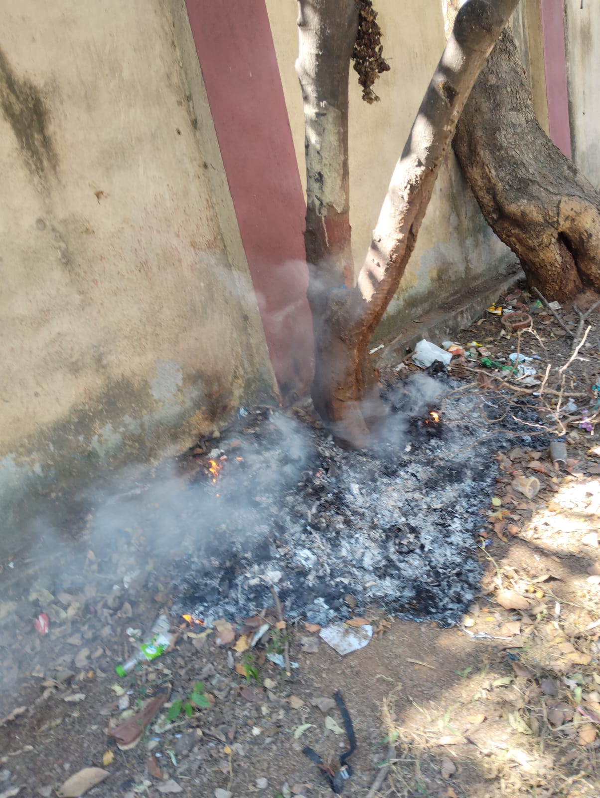 ಬೆಂಗಳೂರು ವಿಶ್ವವಿದ್ಯಾಲಯಕ್ಕೆ ಪ್ರವೇಶದ ದ್ವಾರದ ಬಳಿ ಮರದ ಬುಡಕ್ಕೆ ಬೆಂಕಿ ಹಾಕಿರುವುದು