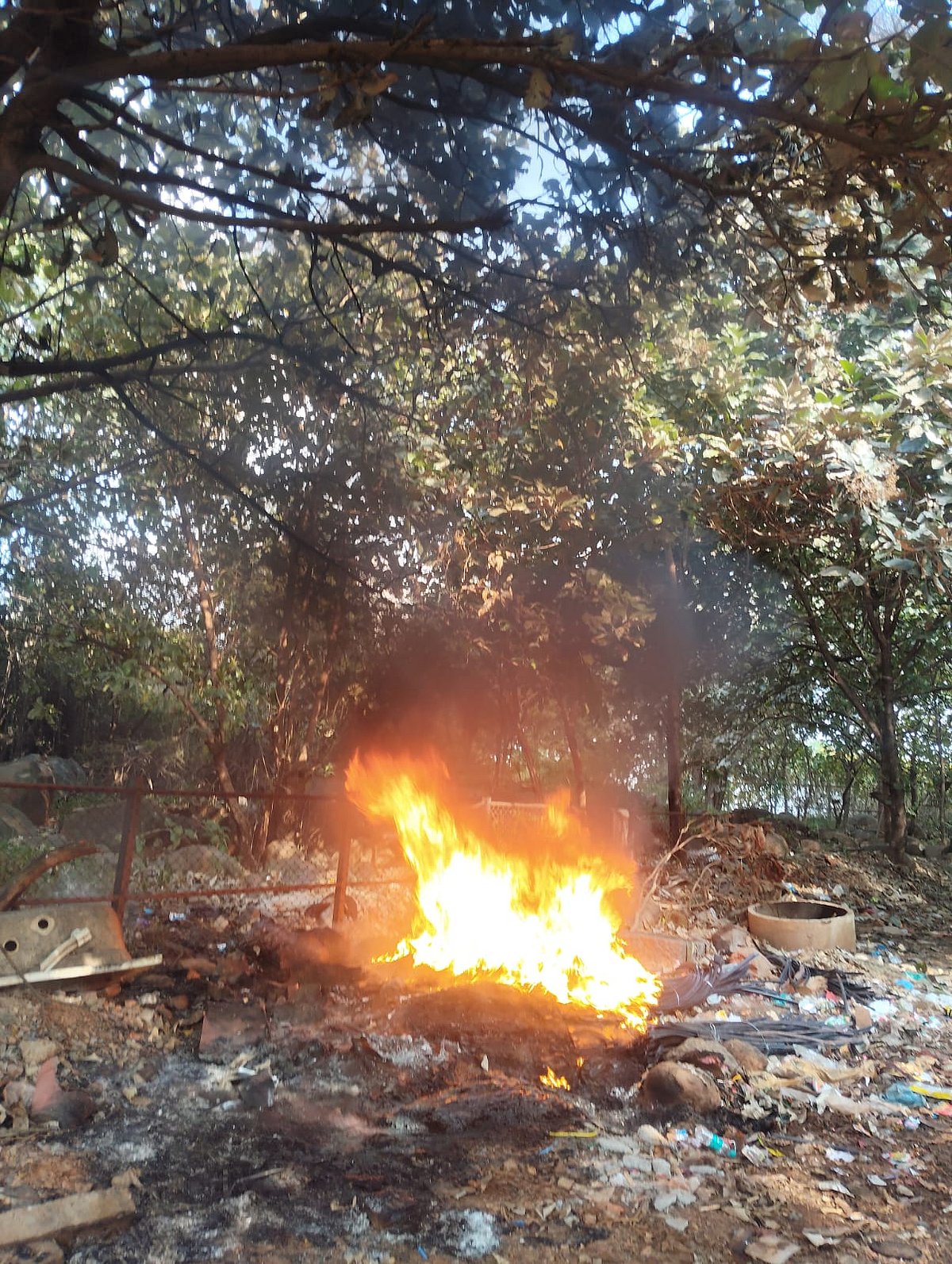  ಬೆಂಗಳೂರು ವಿಶ್ವವಿದ್ಯಾಲಯ ಸುತ್ತಲಿನ ಮರಗಳ ಬುಡಕ್ಕೆ ಕಿಡಿಗೇಡಿಗಳಿಂದ ಬೆಂಕಿ