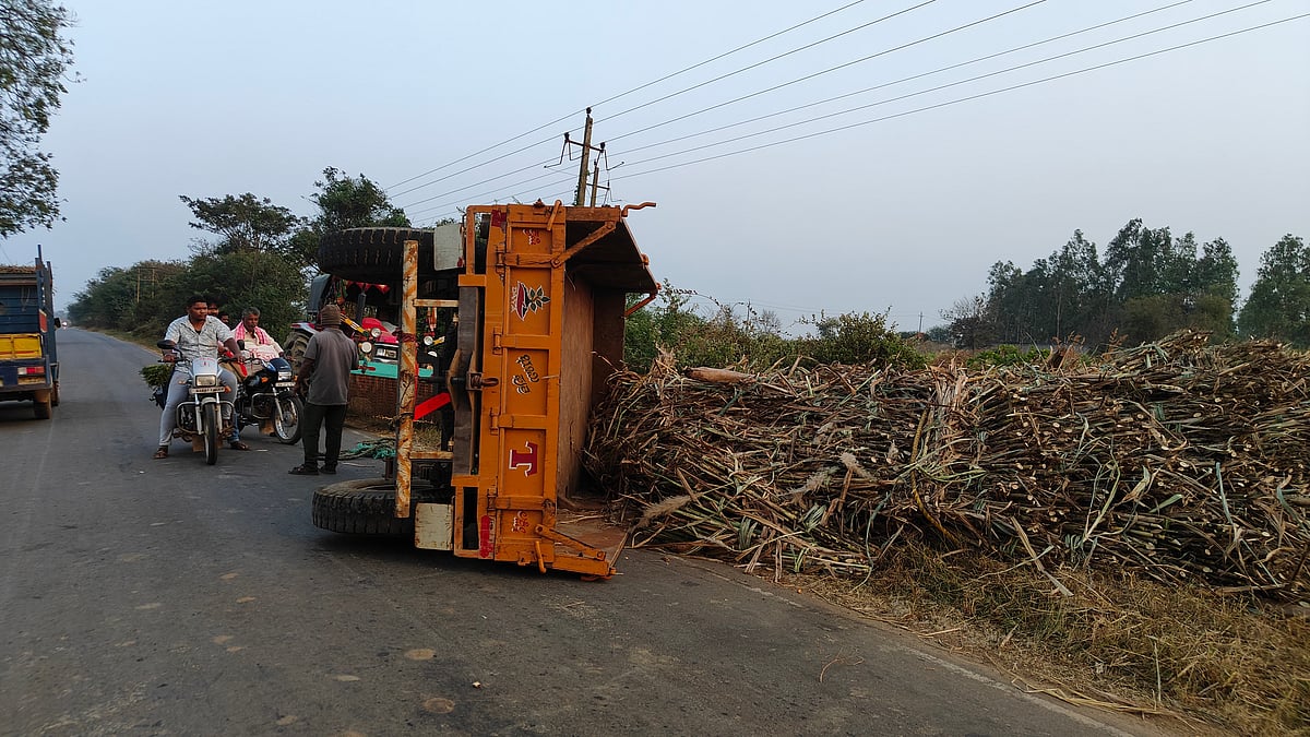 ಹಾವೇರಿ | ಕಬ್ಬು ಸಾಗಣೆ ಜೋರು: ಚಾಲಕರ ಜೀವಕ್ಕೆ ಕುತ್ತು