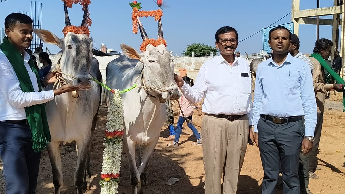 ಉಪ್ಪಾರಳ್ಳಿಯಲ್ಲಿ ದನಗಳ ಜಾತ್ರೆ: ಎಂ.ಸತ್ಯವಾರ ರಾಸುಗೆ ಪ್ರಥಮ ಸ್ಥಾನ