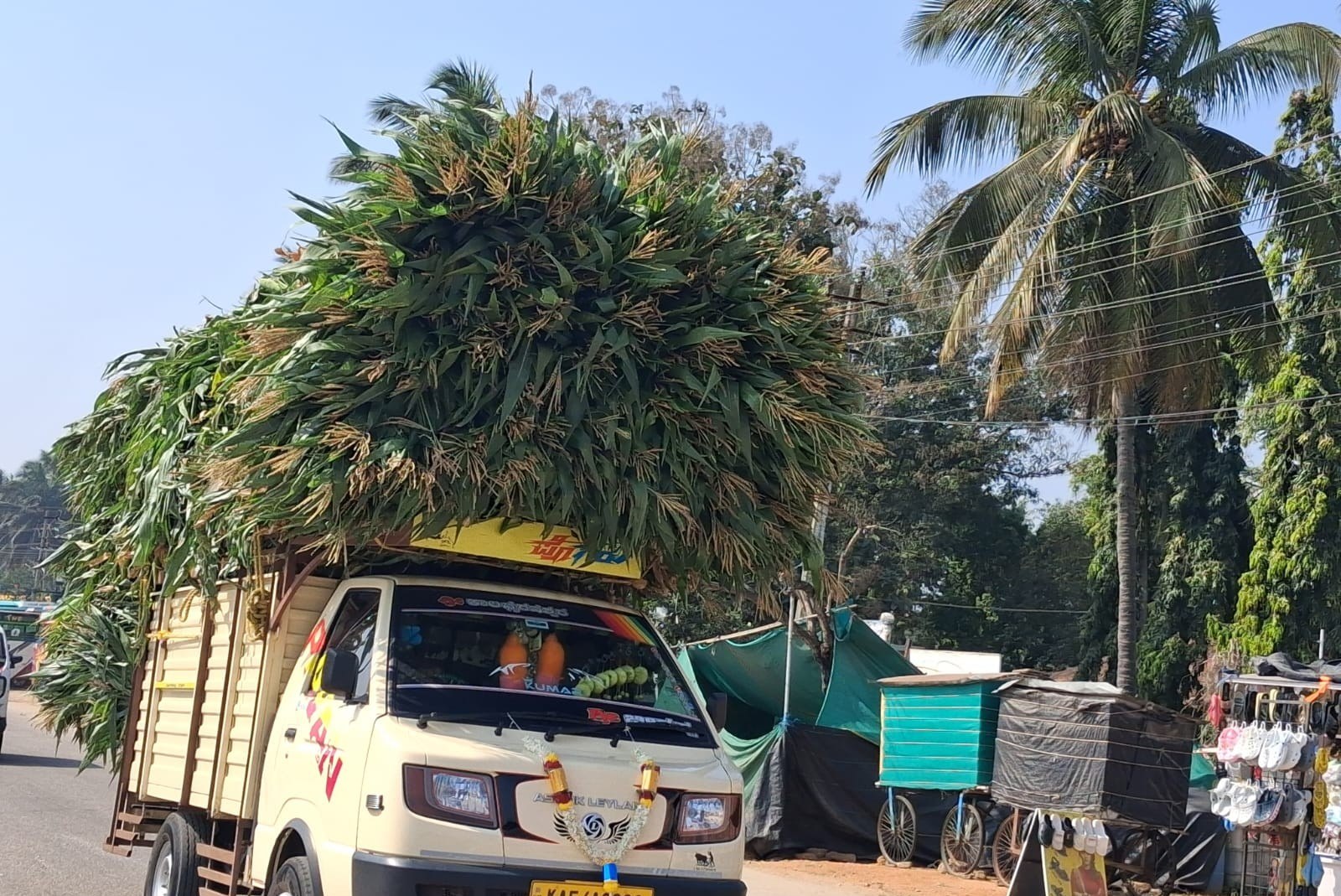 ಜಾನುವಾರುಗಳ ಪೌಷ್ಟಿಕ ಆಹಾರಕ್ಕೆ ಬೇಡಿಕೆಯಲ್ಲಿರುವ ಸೈಲೇಜ್‌ ಮೇವು ಸಿದ್ದಪಡಿಸಲು ಸಾಗಿಸುತ್ತಿರುವ ಮುಸುಕಿನ ಜೋಳ