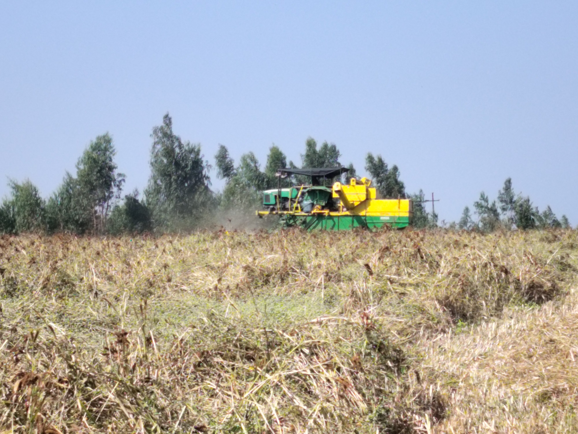 ಆನೇಕಲ್‌ ತಾಲ್ಲೂಕಿನ ಆದೂರು ಬಳಿ ಯಂತ್ರದ ಮೂಲಕ ರಾಗಿ ಬೆಳೆಯನ್ನು ಕಟಾವು ಮಾಡುತ್ತಿರುವುದು
